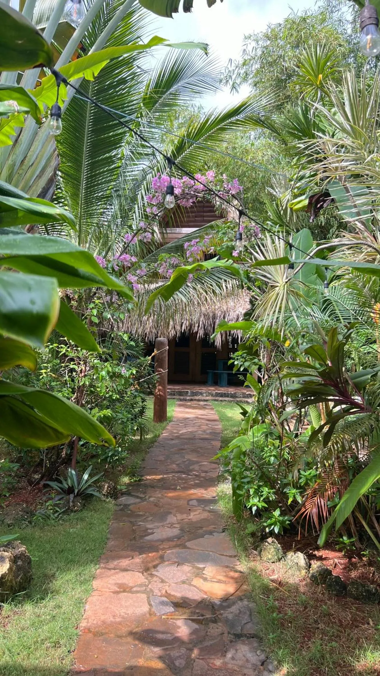 CHALET TROPICAL Hotel & Pool Bar Restaurant