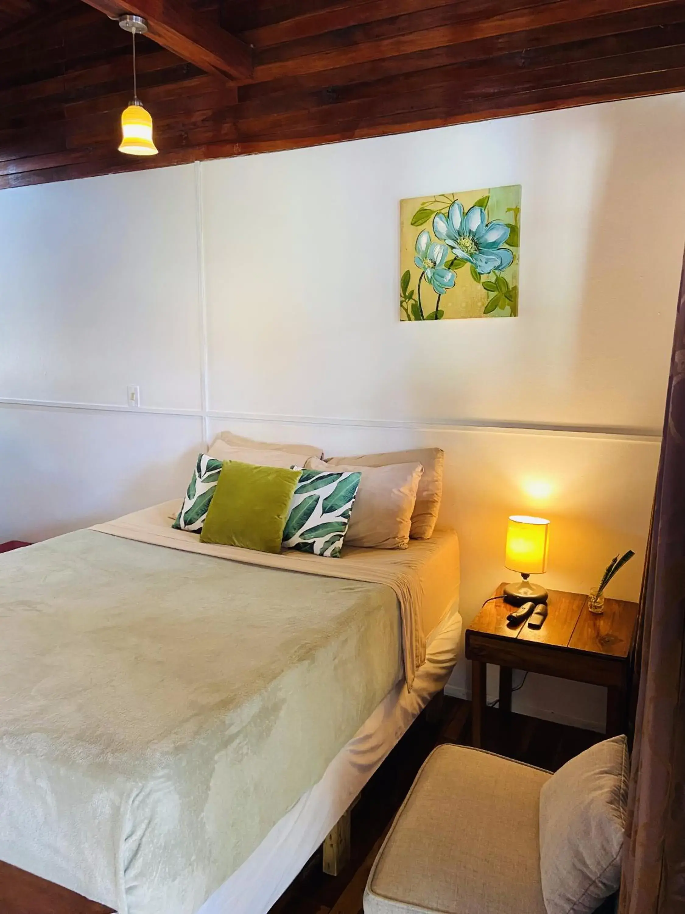 Deluxe Queen Room with A/C in Lizard King Hotel & Suites Deluxe Queen Room with A/C in Lizard King Hotel & Suites