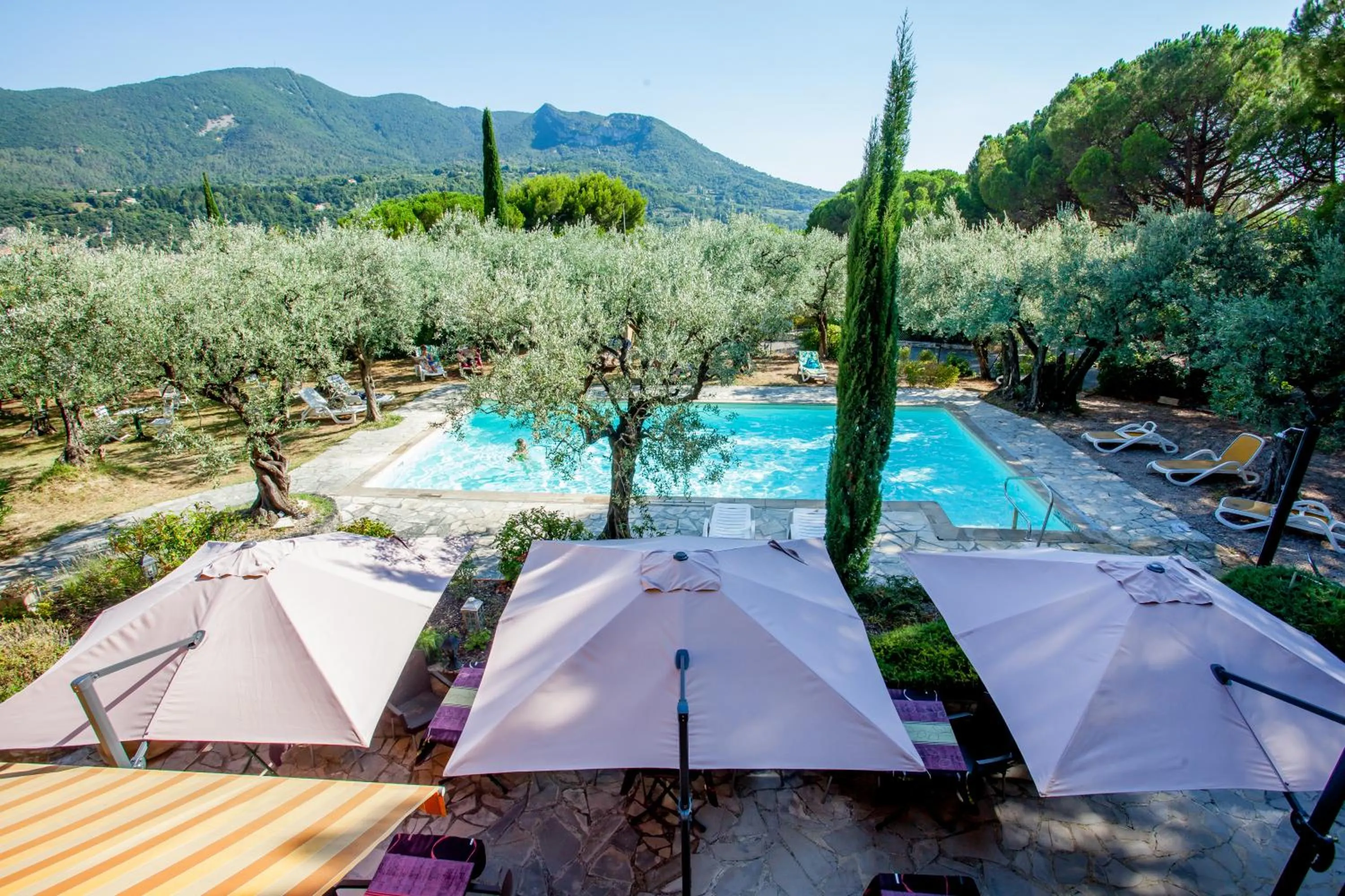 Swimming pool in La Picholine en Provence