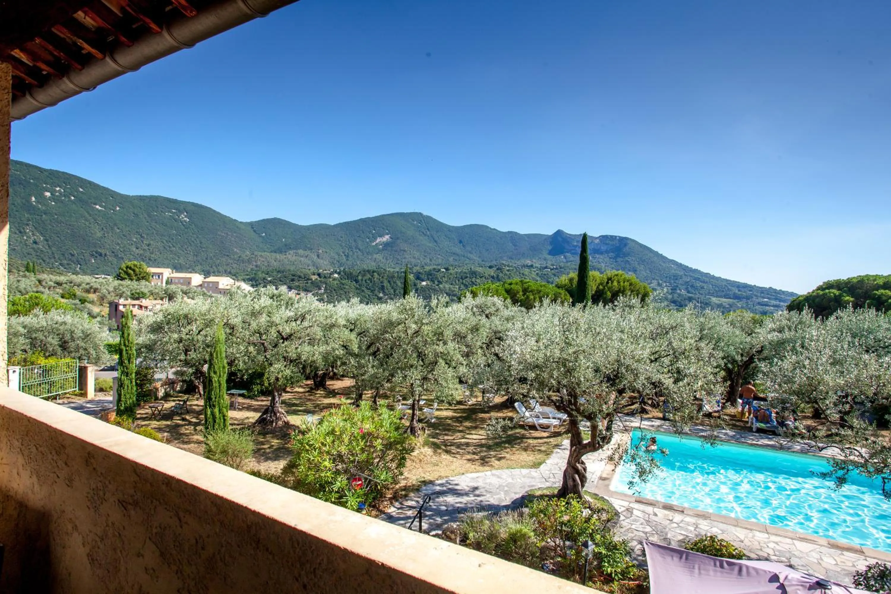 Garden view in La Picholine en Provence