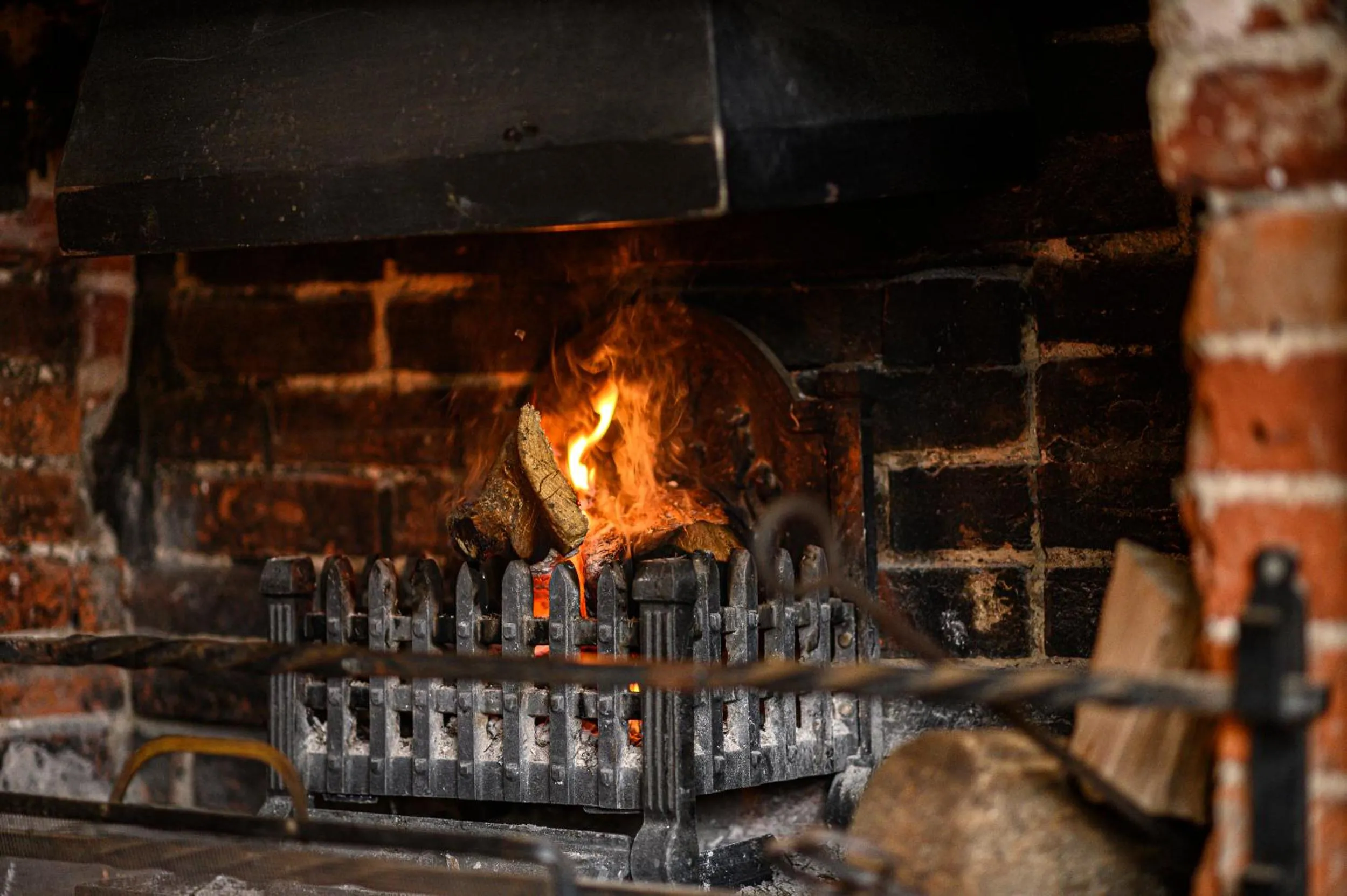 flat iron, BBQ Facilities in THE LAZY LION