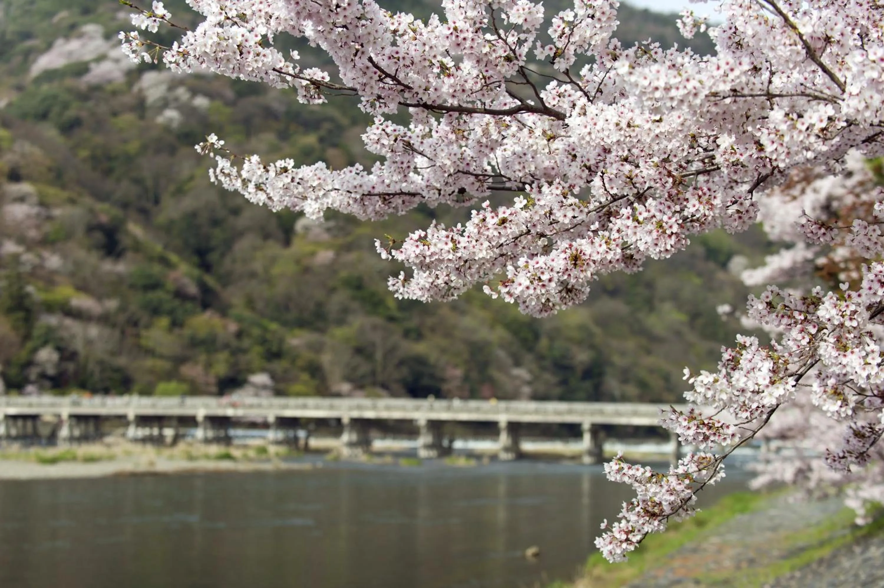 Area and facilities in Ranzan