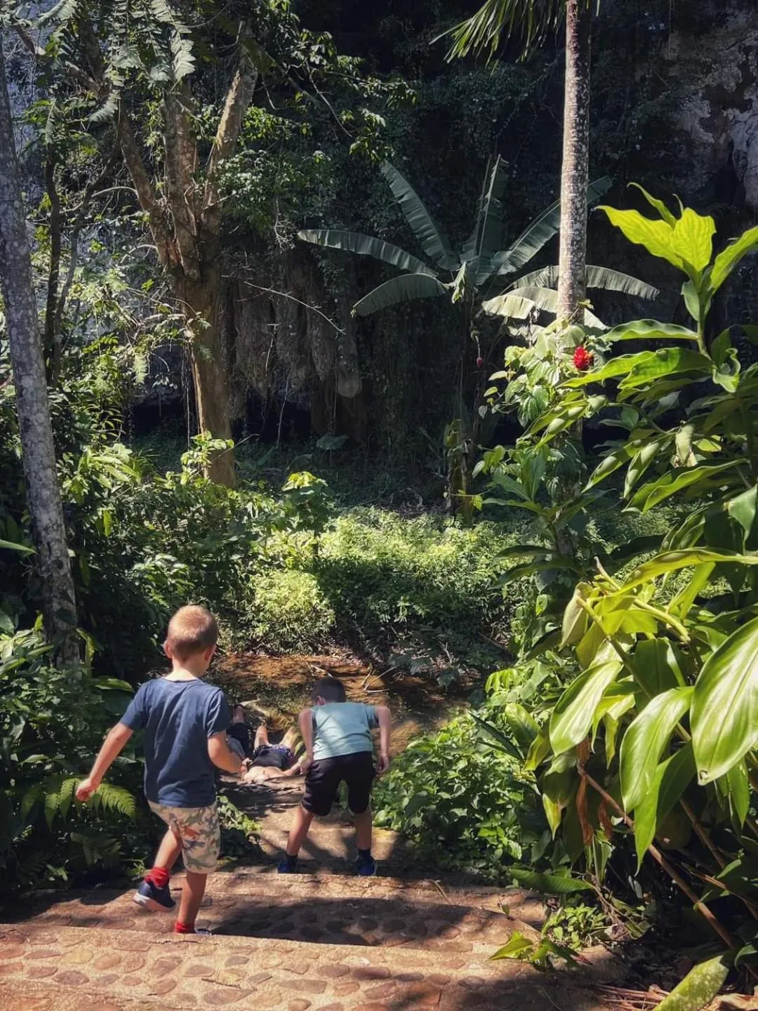 Khao Sok Silver Cliff Resort