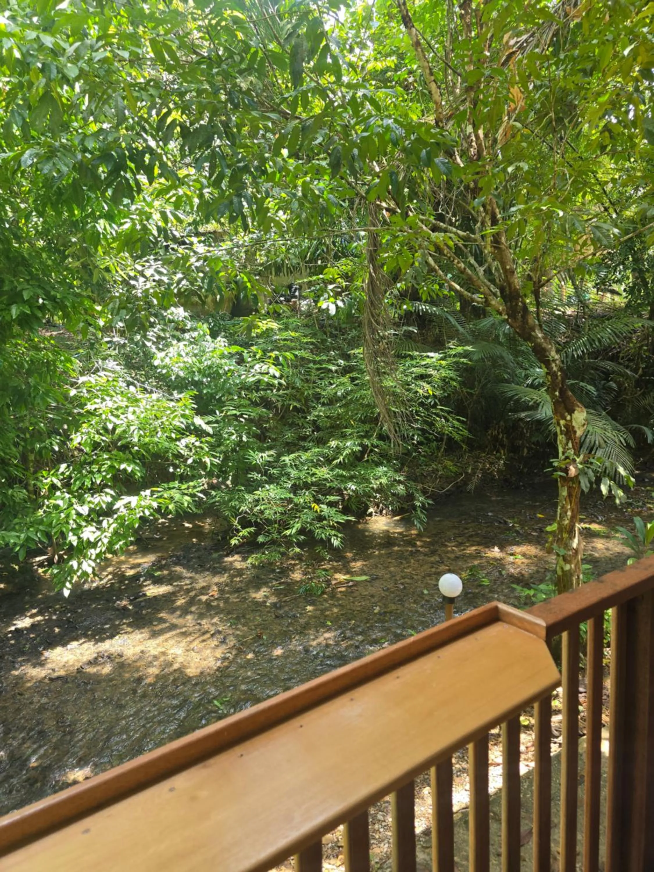 Khao Sok Silver Cliff Resort