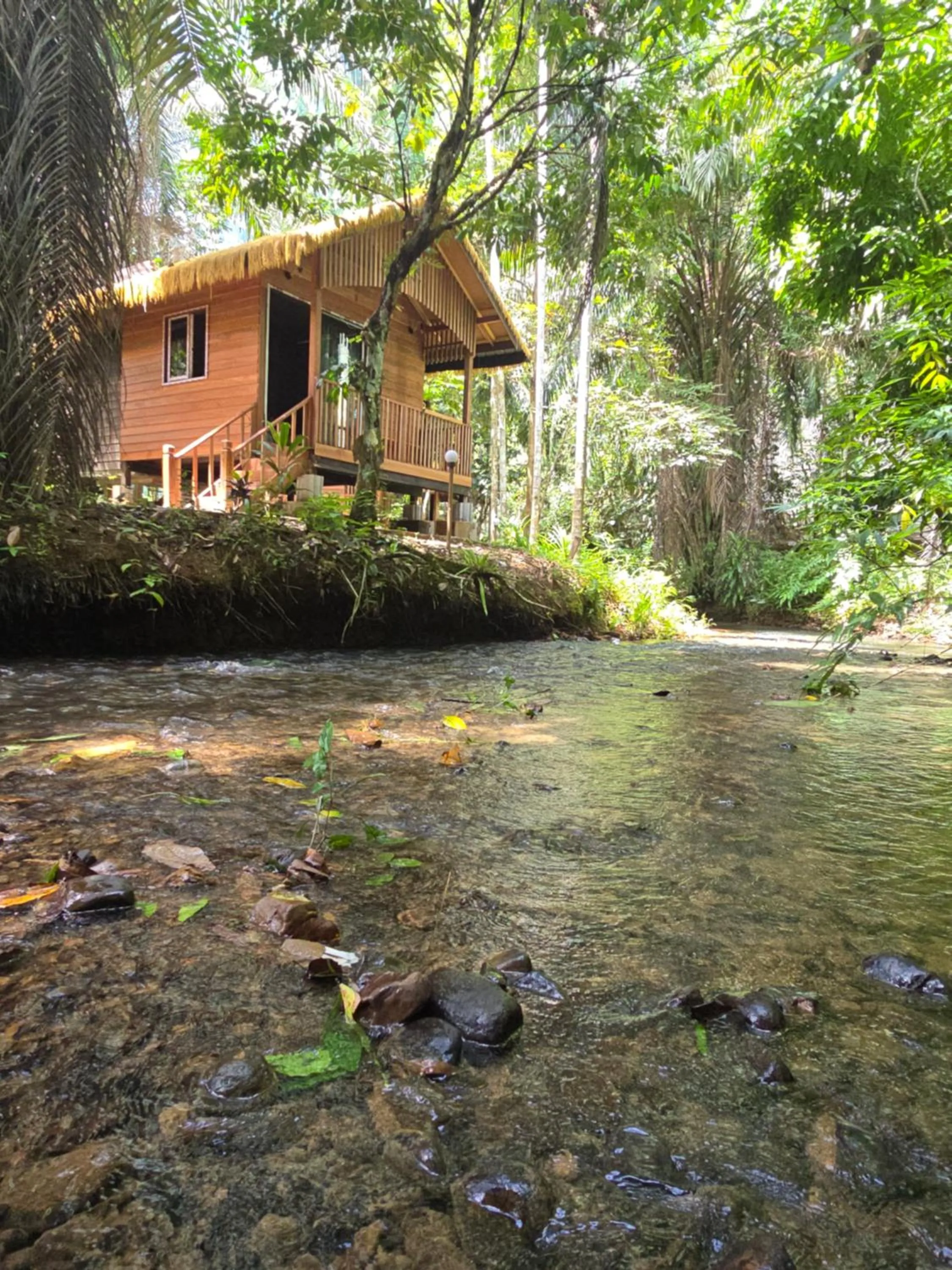 Khao Sok Silver Cliff Resort