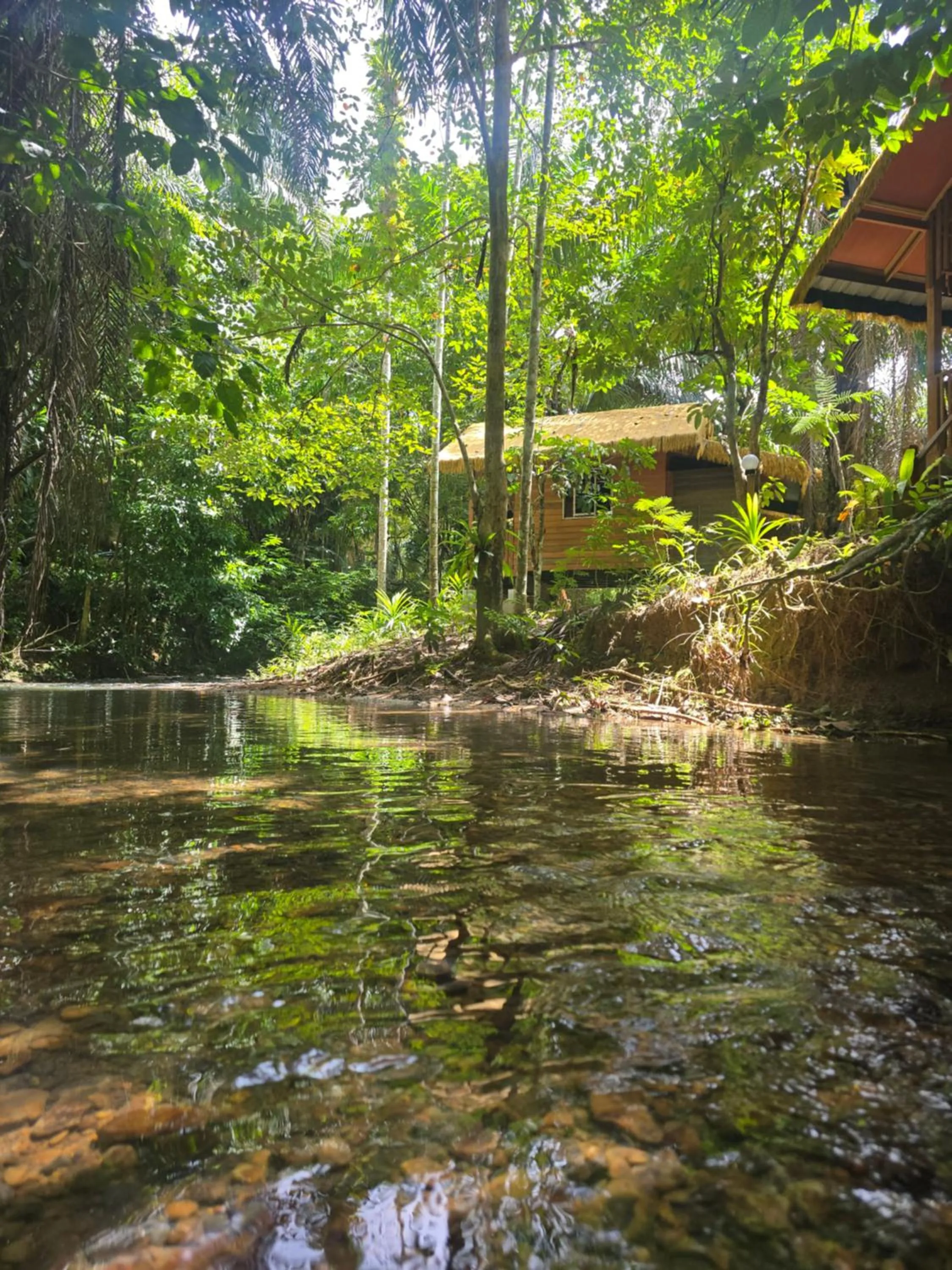 Khao Sok Silver Cliff Resort