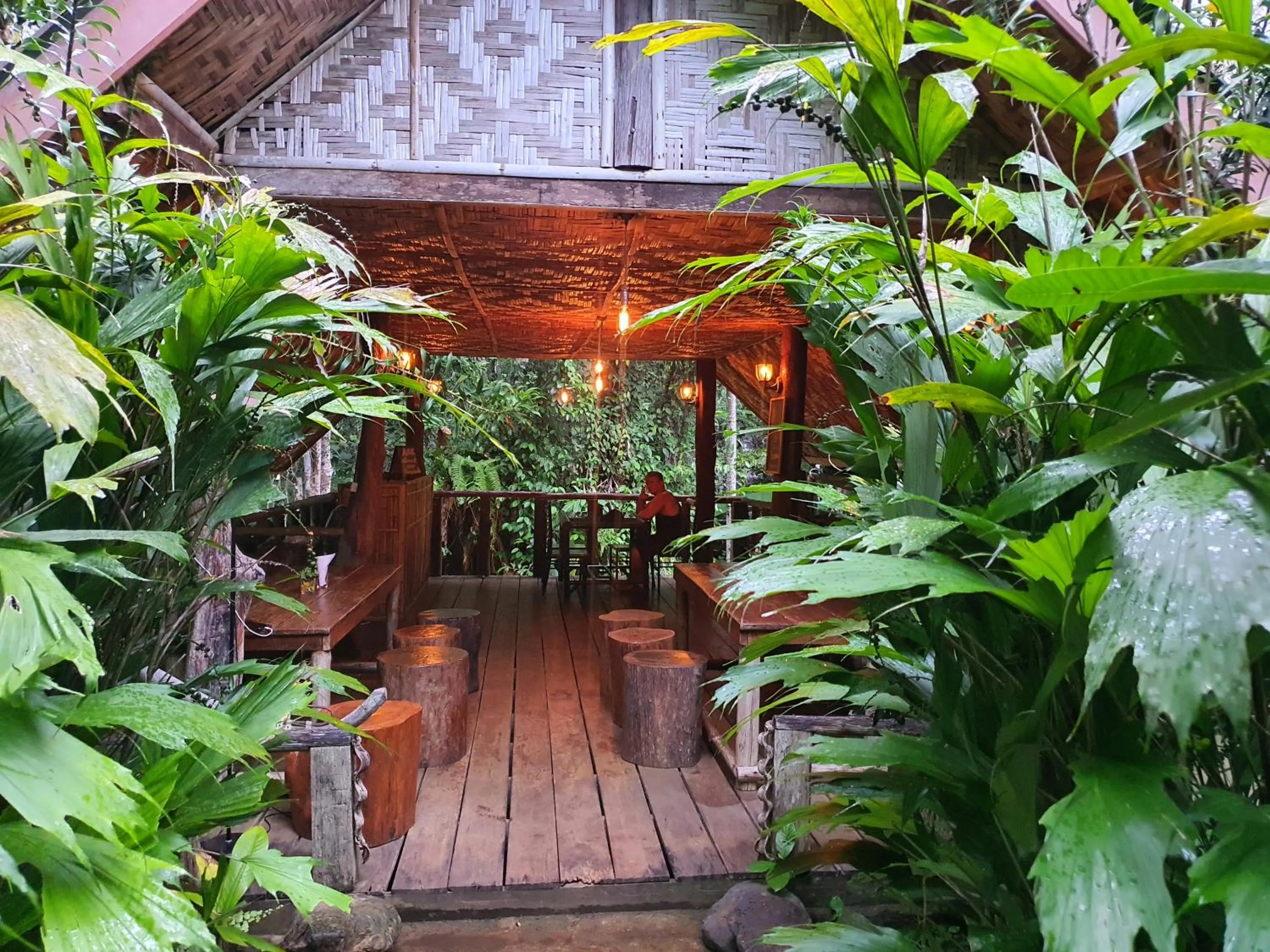 Restaurant/places to eat in Khao Sok Silver Cliff Resort