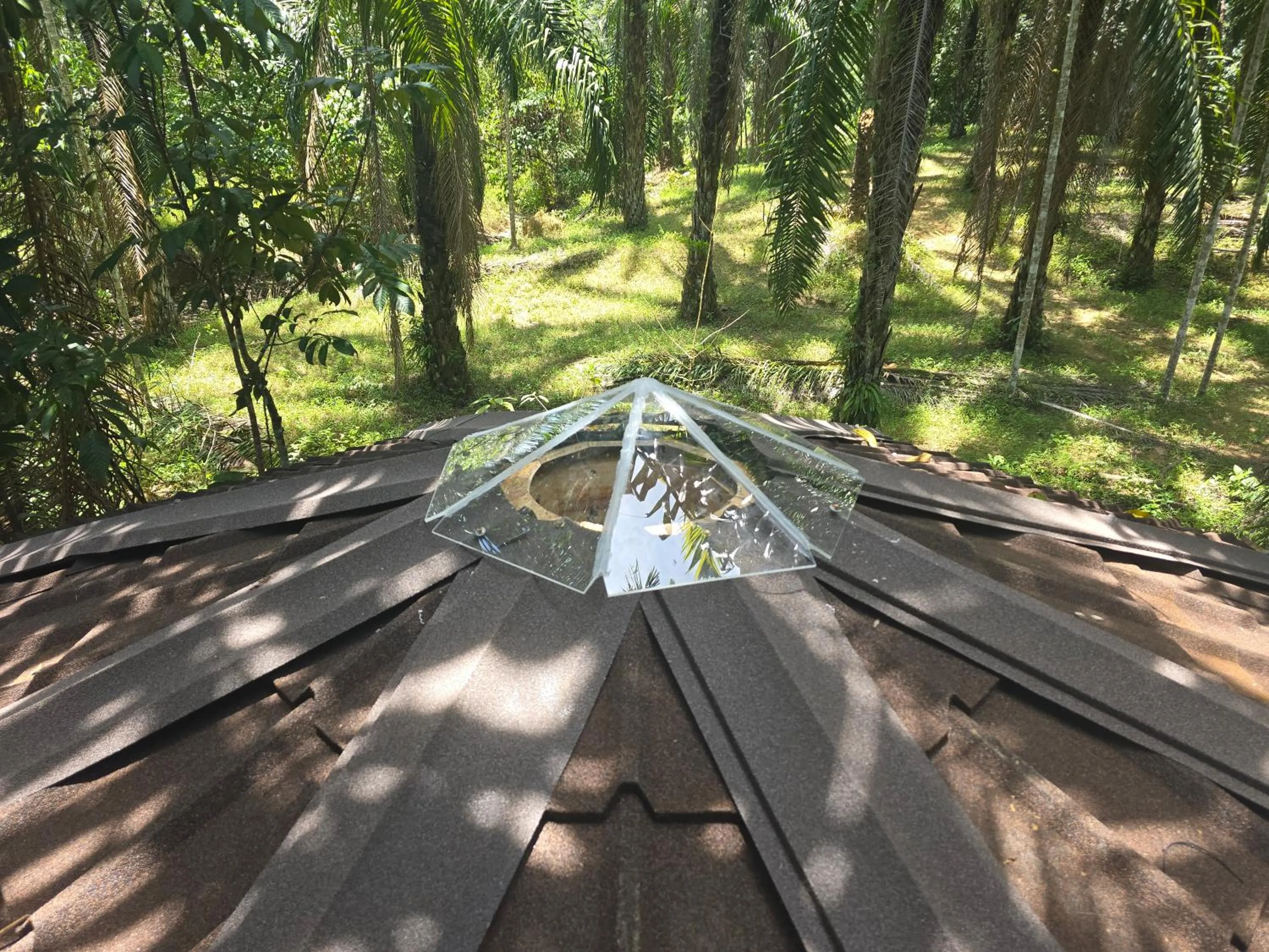 Khao Sok Silver Cliff Resort