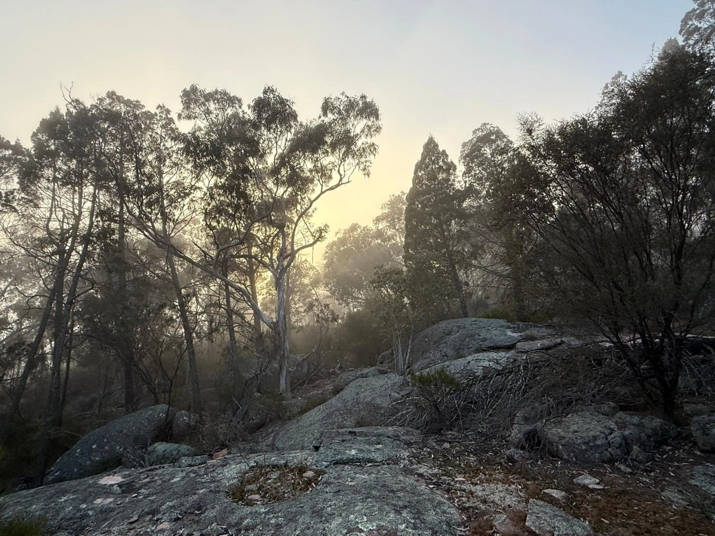 Hiking in 31 The Rocks