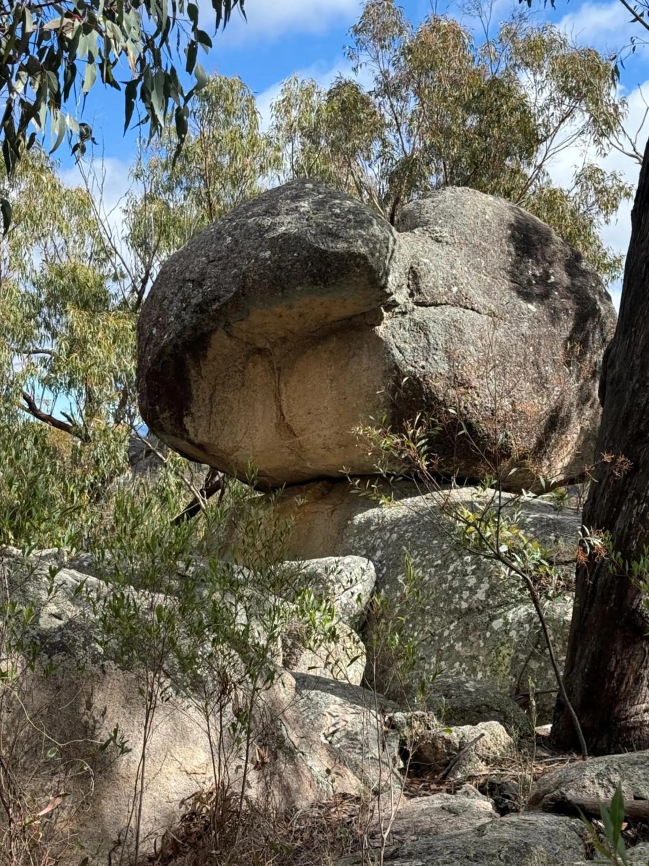 Hiking in 31 The Rocks