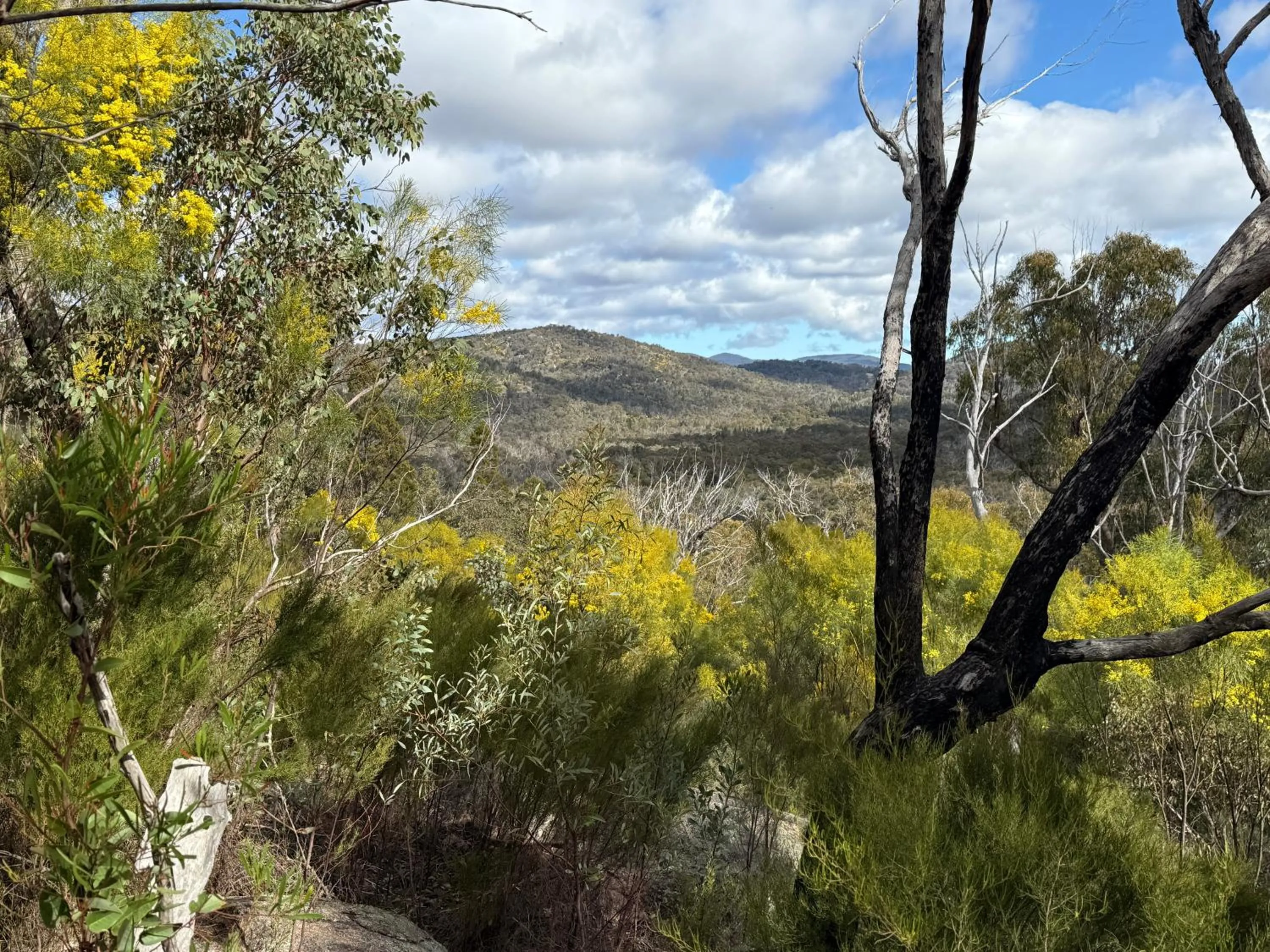 Hiking in 31 The Rocks