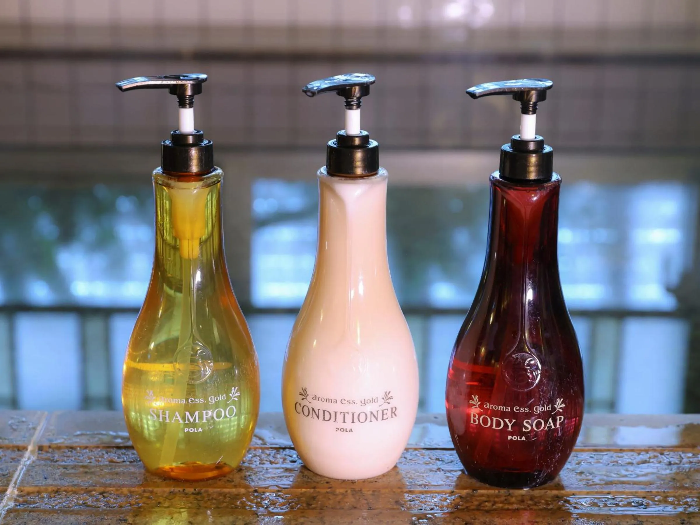 Public Bath in Dormy Inn Gifu Ekimae