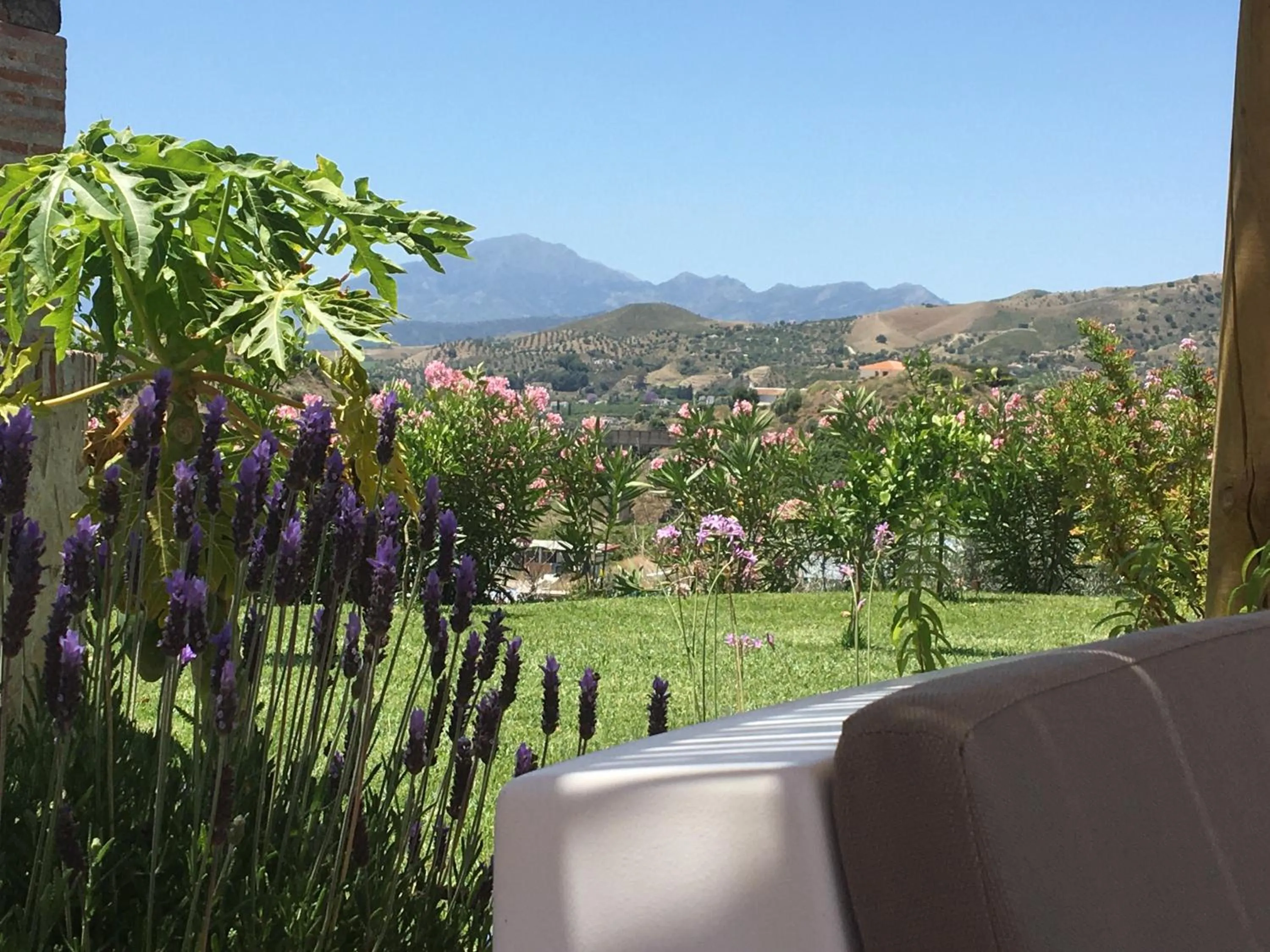 Natural landscape in Finca Las Hierbas B&B