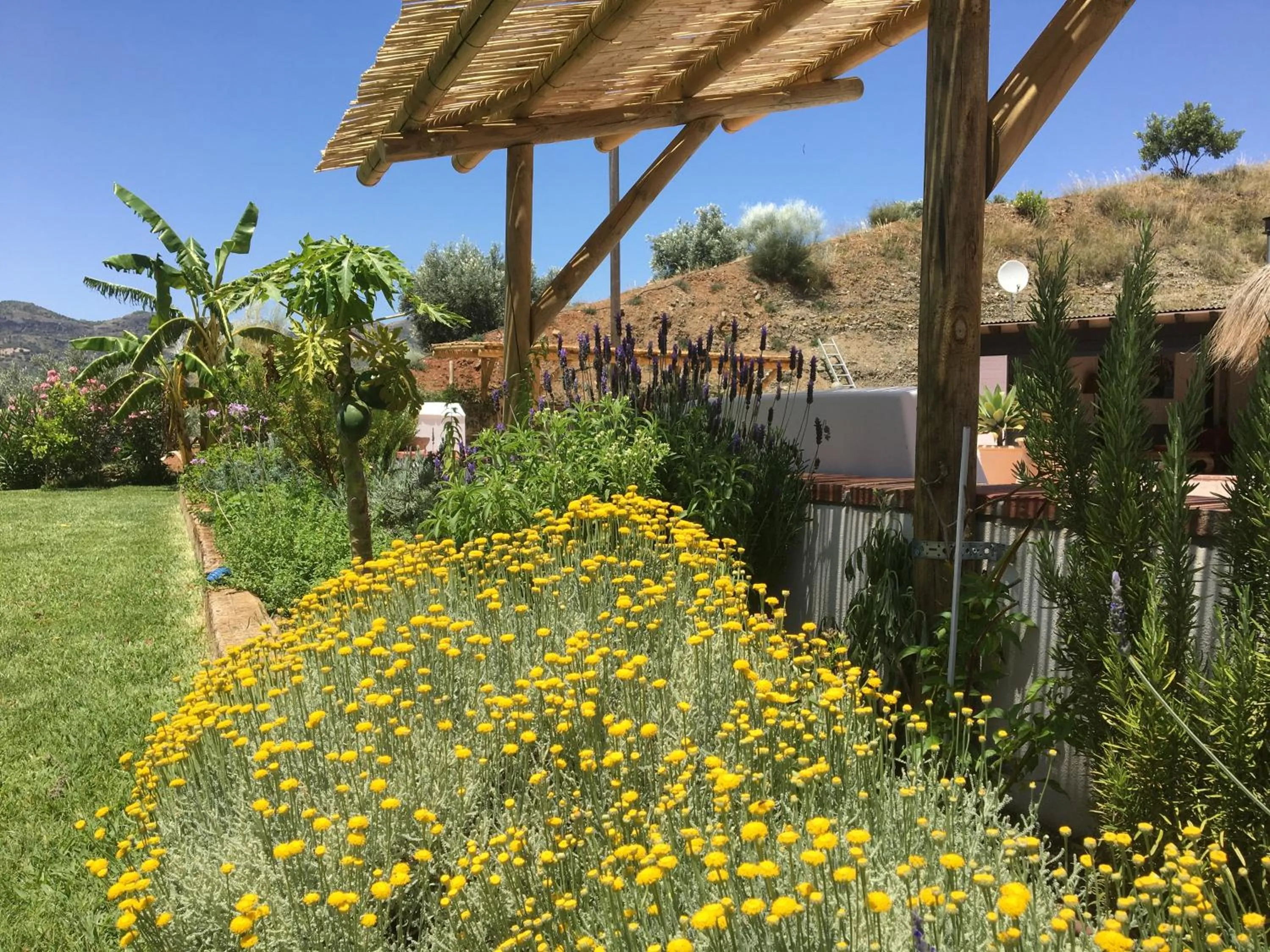 Natural landscape in Finca Las Hierbas B&B
