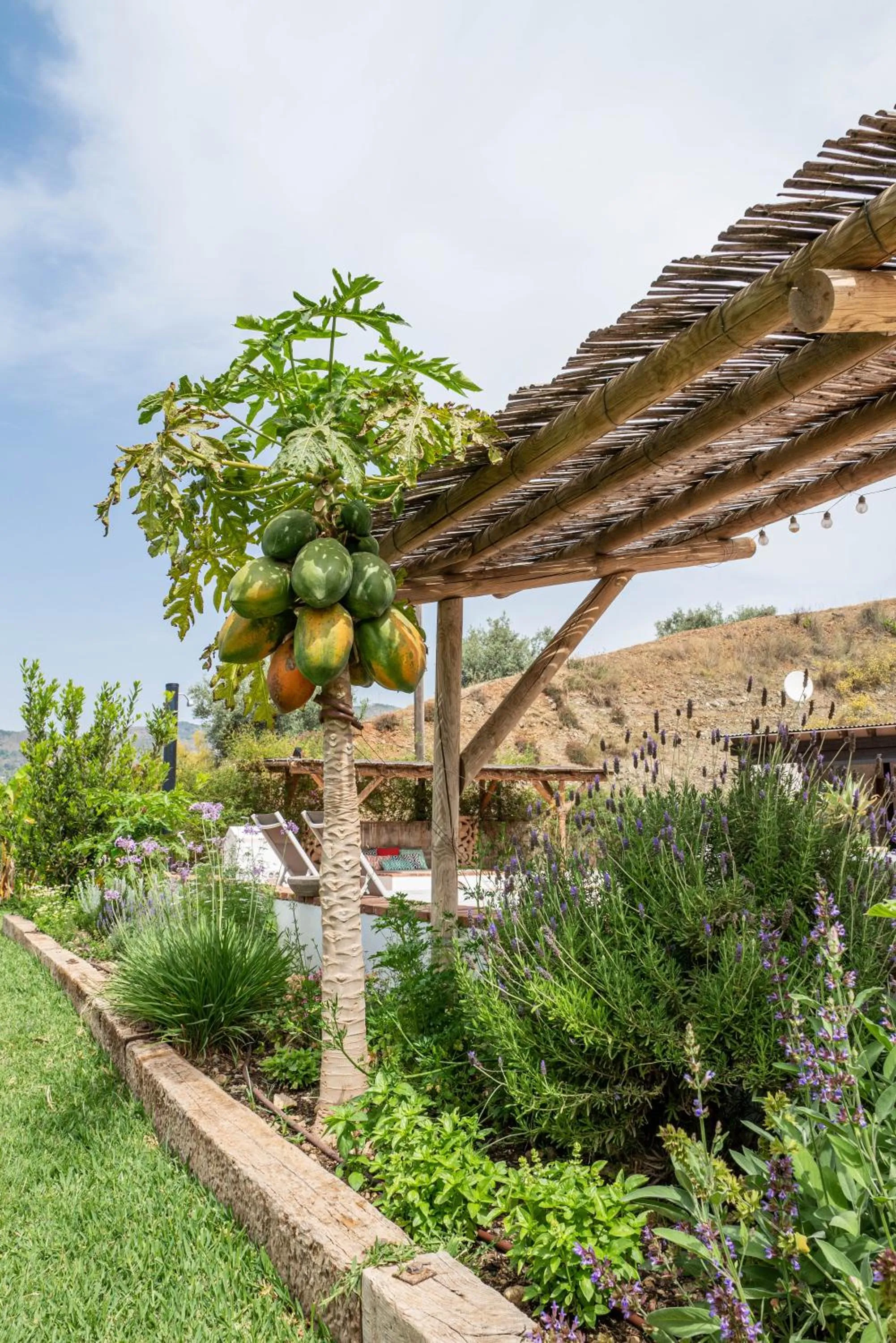 Garden in Finca Las Hierbas B&B