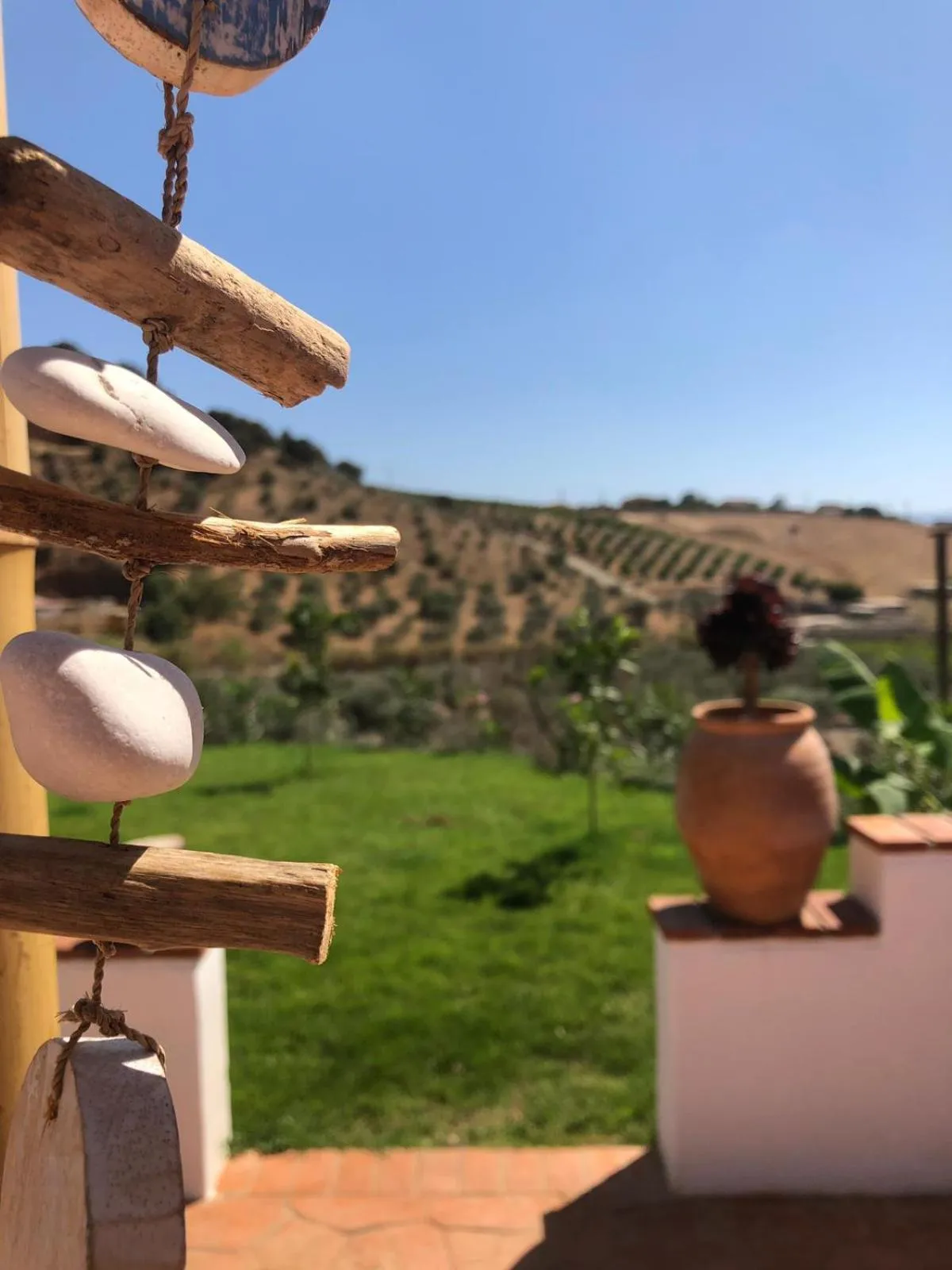 Garden in Finca Las Hierbas B&B