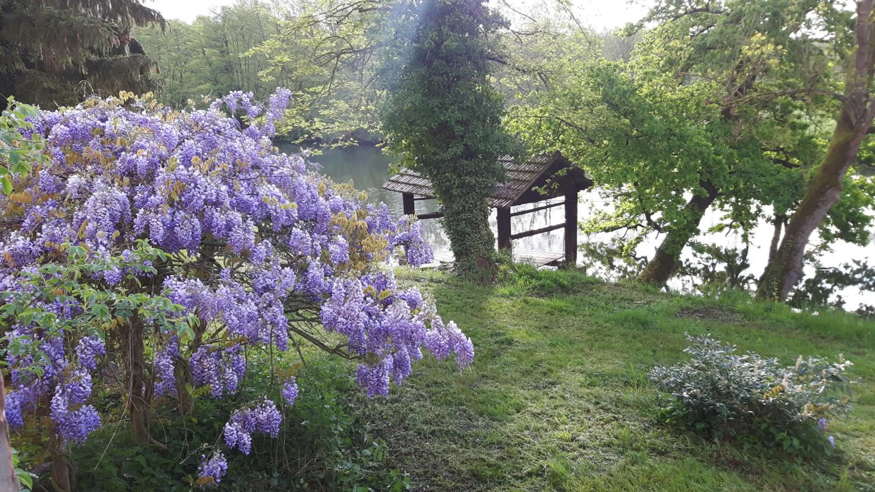 Garden in Château De Werde