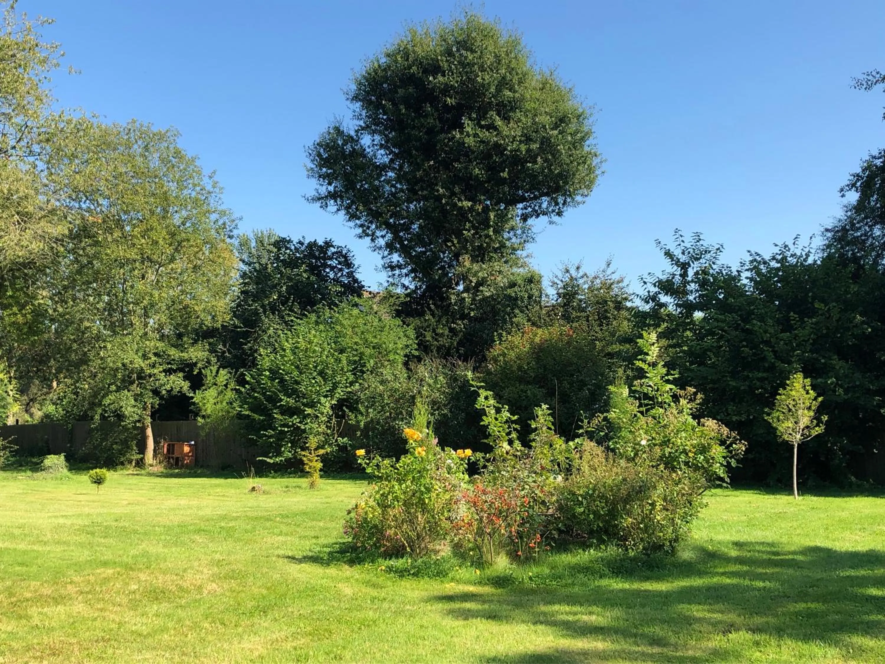 Garden in Caynham Court
