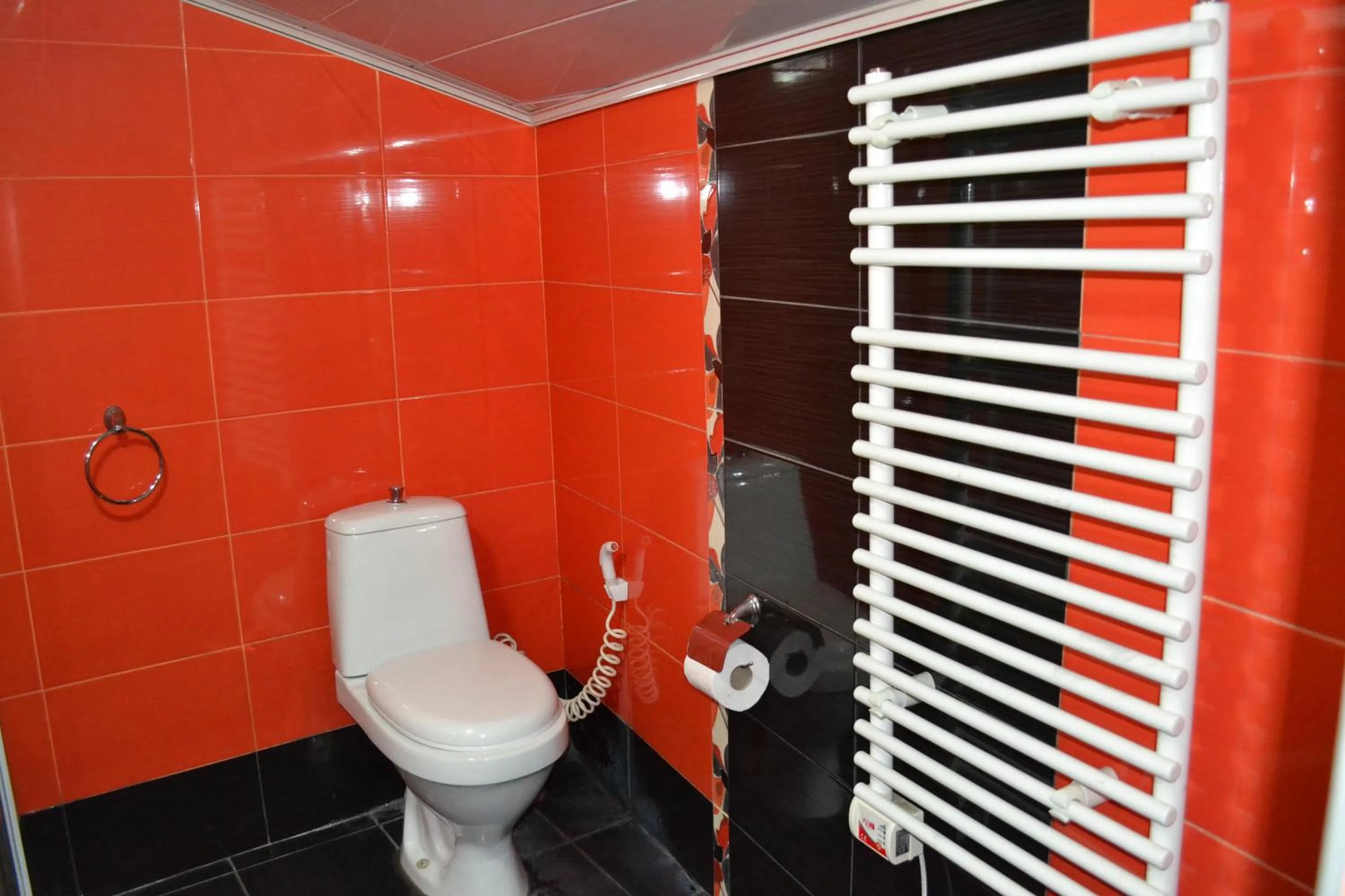 Shower in Hotel Isaka