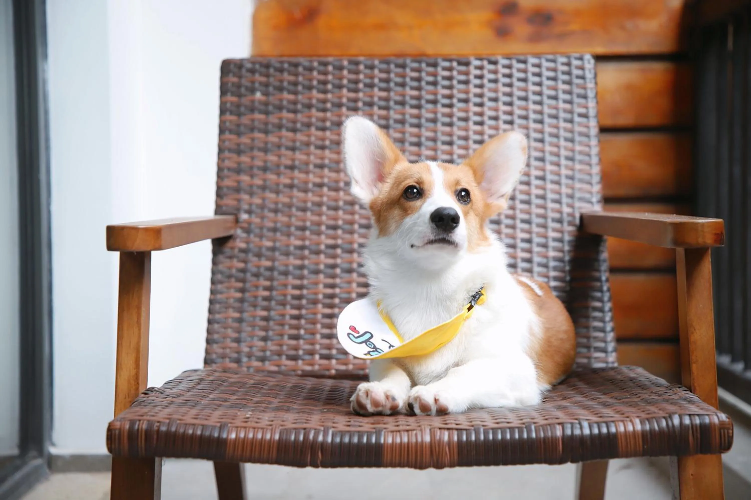Photo of the whole room in Holiday Inn Resort Chaohu Hot Spring by IHG