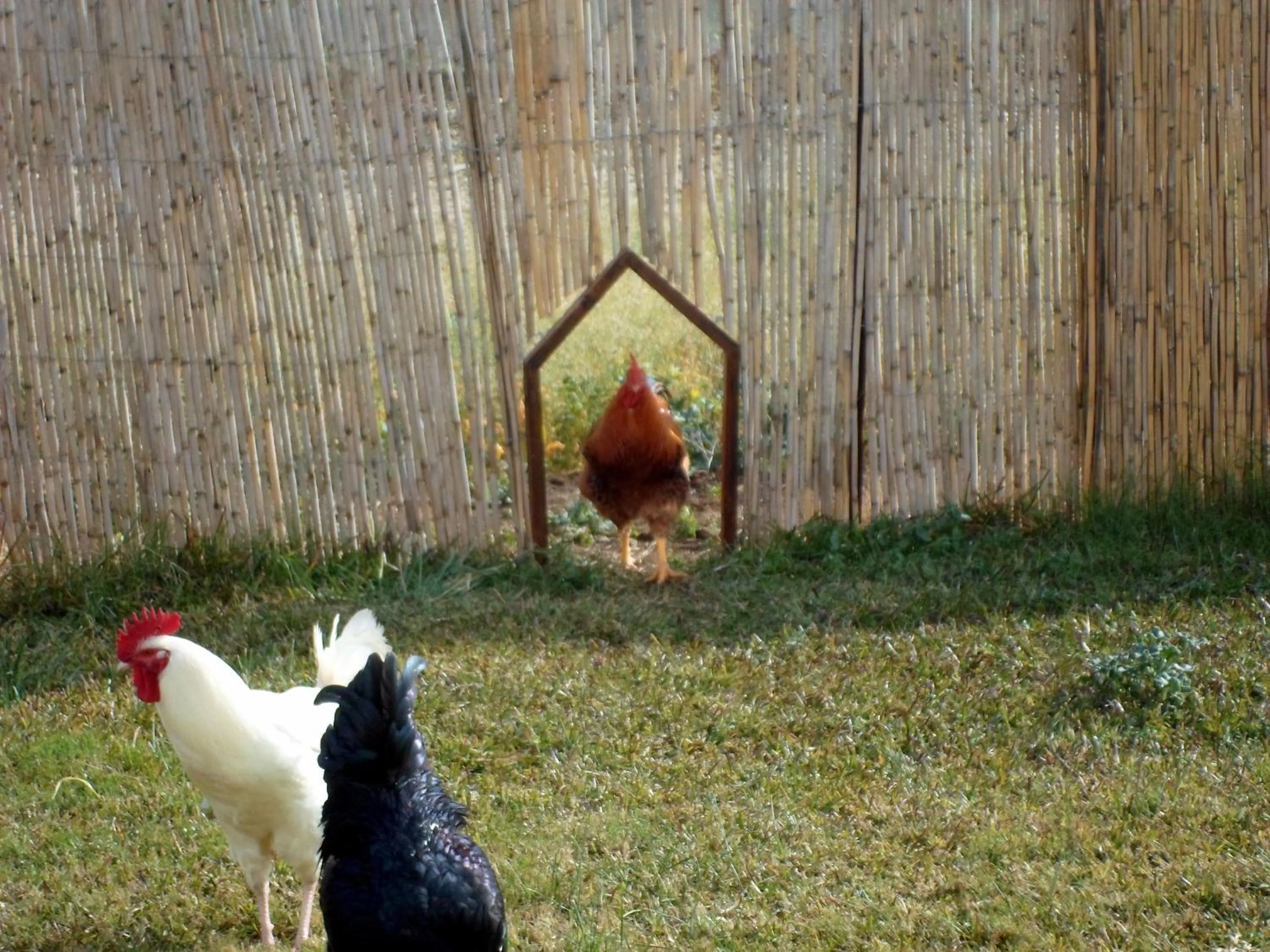 Off site in Hotel Rural Casa Fina - Adults Recommended