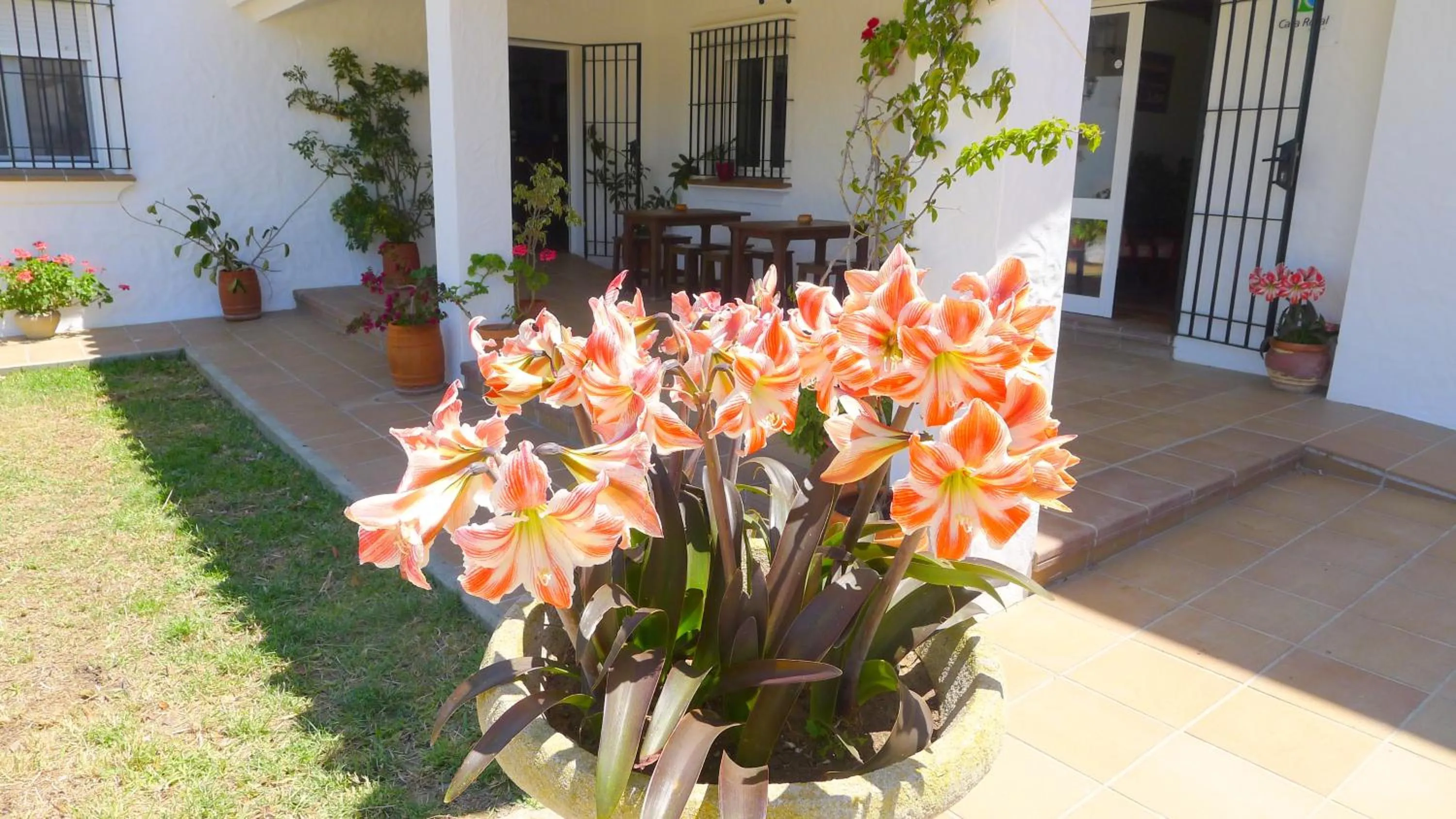 Balcony/Terrace in Hotel Rural Casa Fina - Adults Recommended