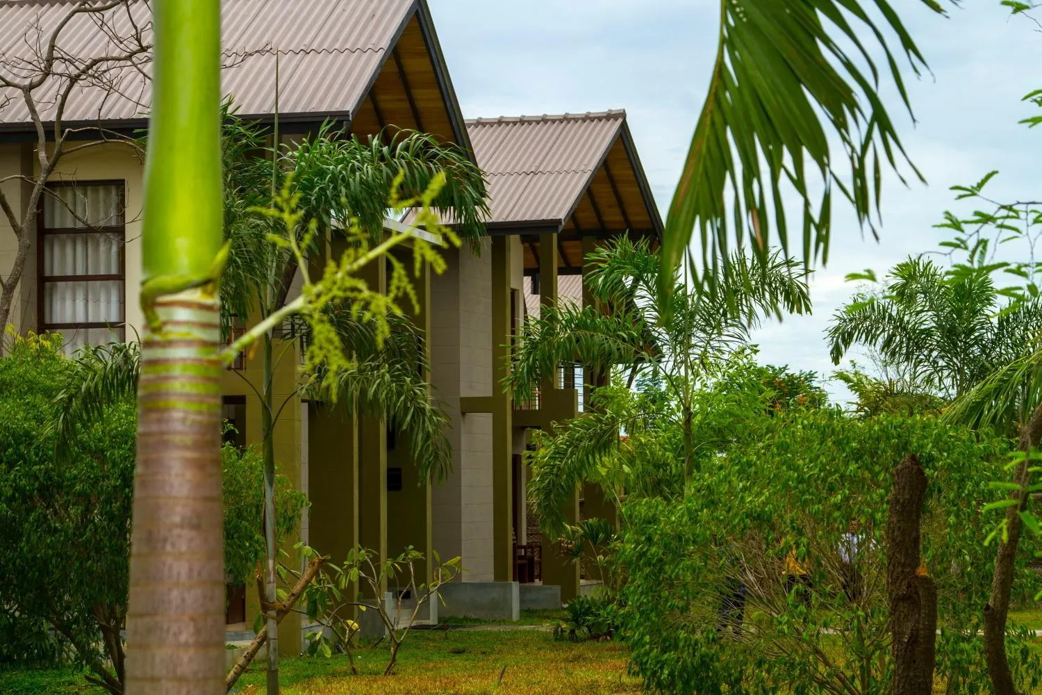 Property building in Chaarya Resort & Spa