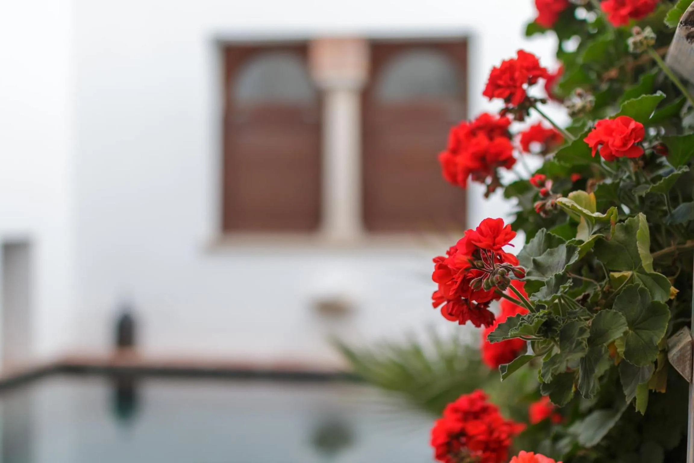 Swimming pool in ApartaSuites Alberca Deluxe