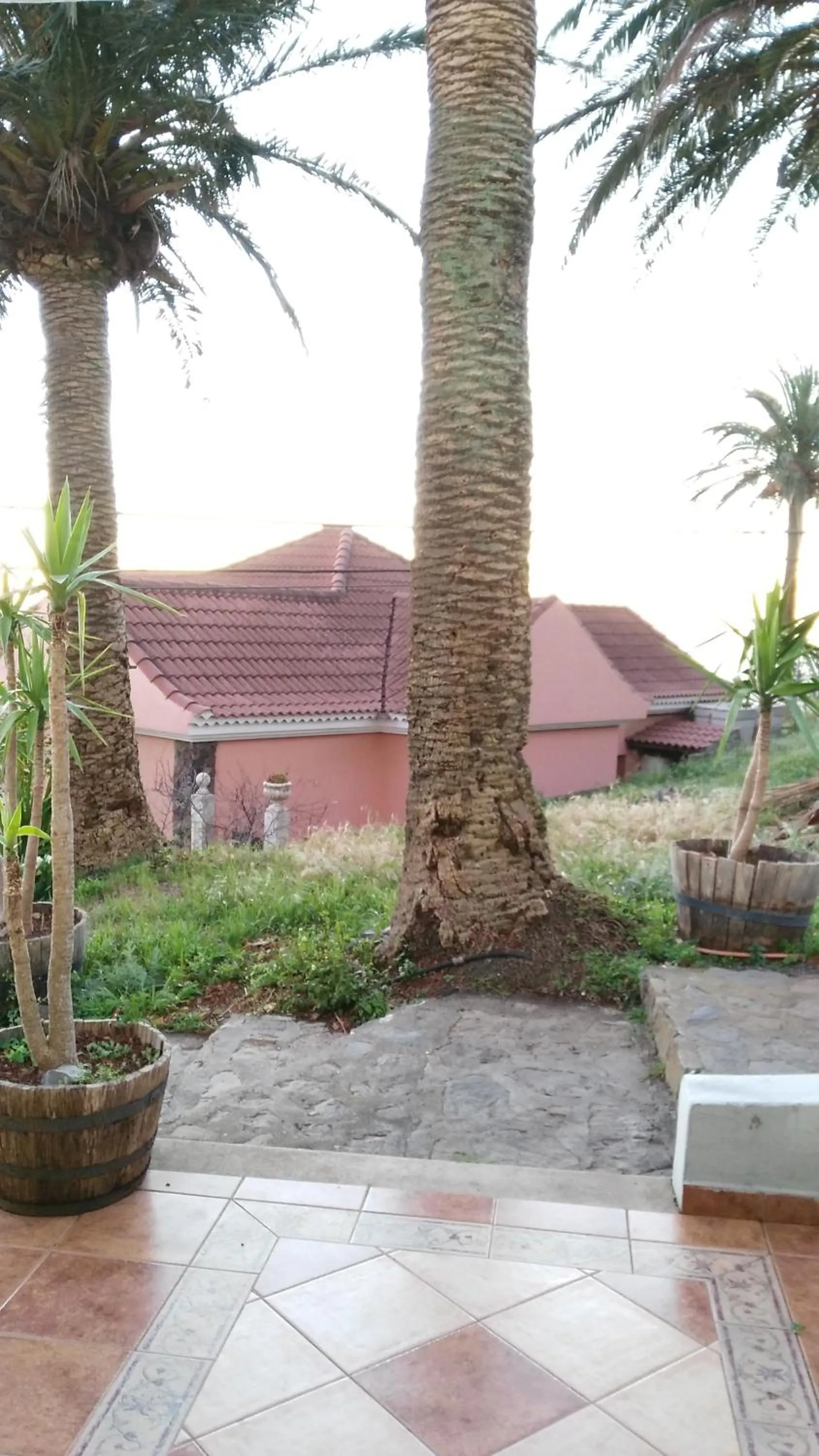 Off site in Pensión Amparo Las Hayas