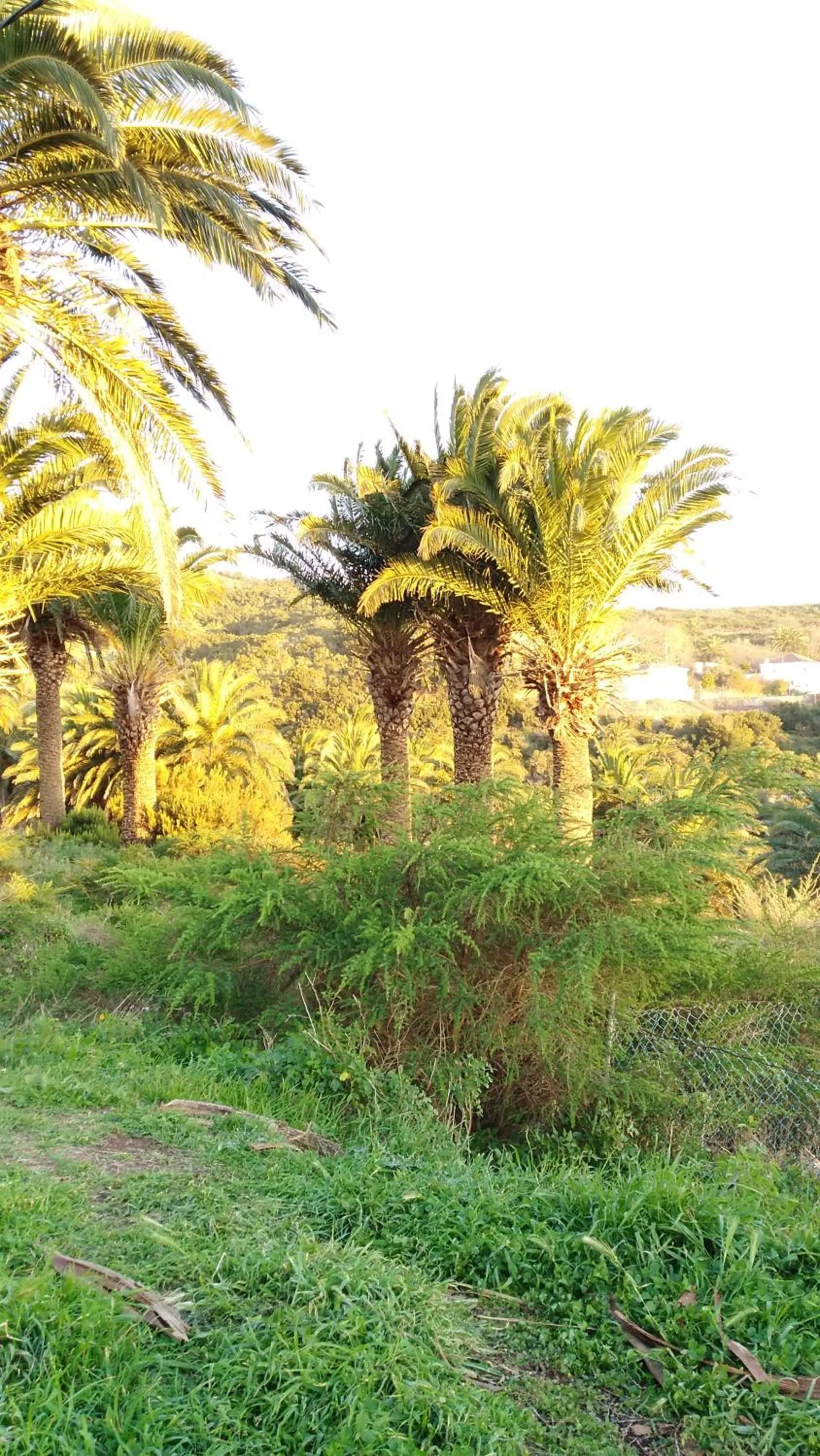 Off site in Pensión Amparo Las Hayas