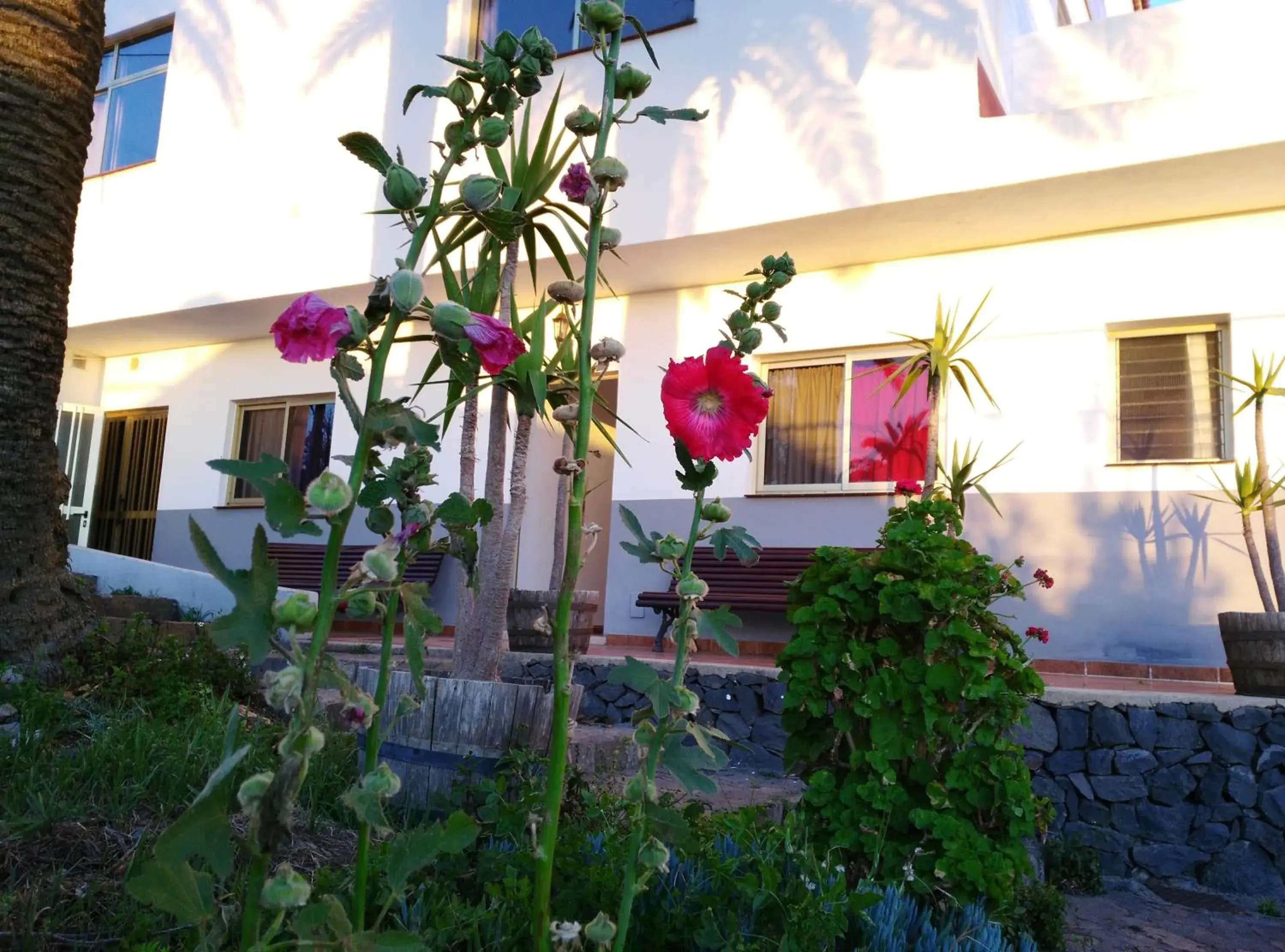 Twin Room in Pensión Amparo Las Hayas Twin Room in Pensión Amparo Las Hayas
