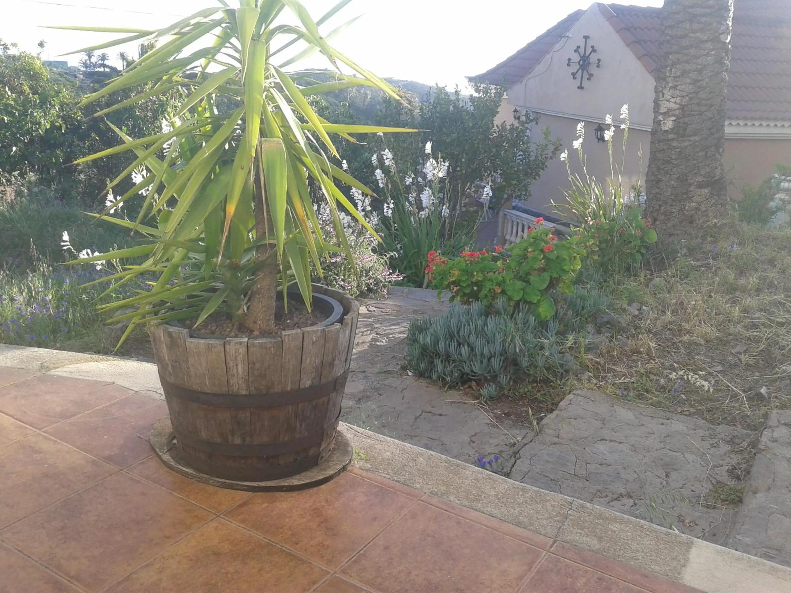 Property building in Pensión Amparo Las Hayas