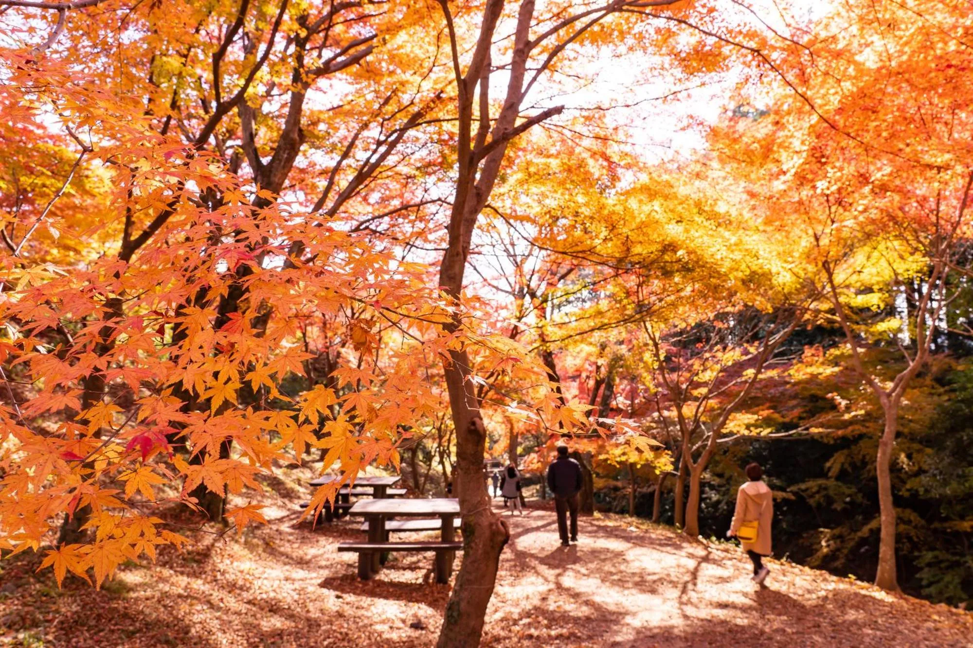 Nearby landmark in Tabist Miya Yokkaichi Suizawa