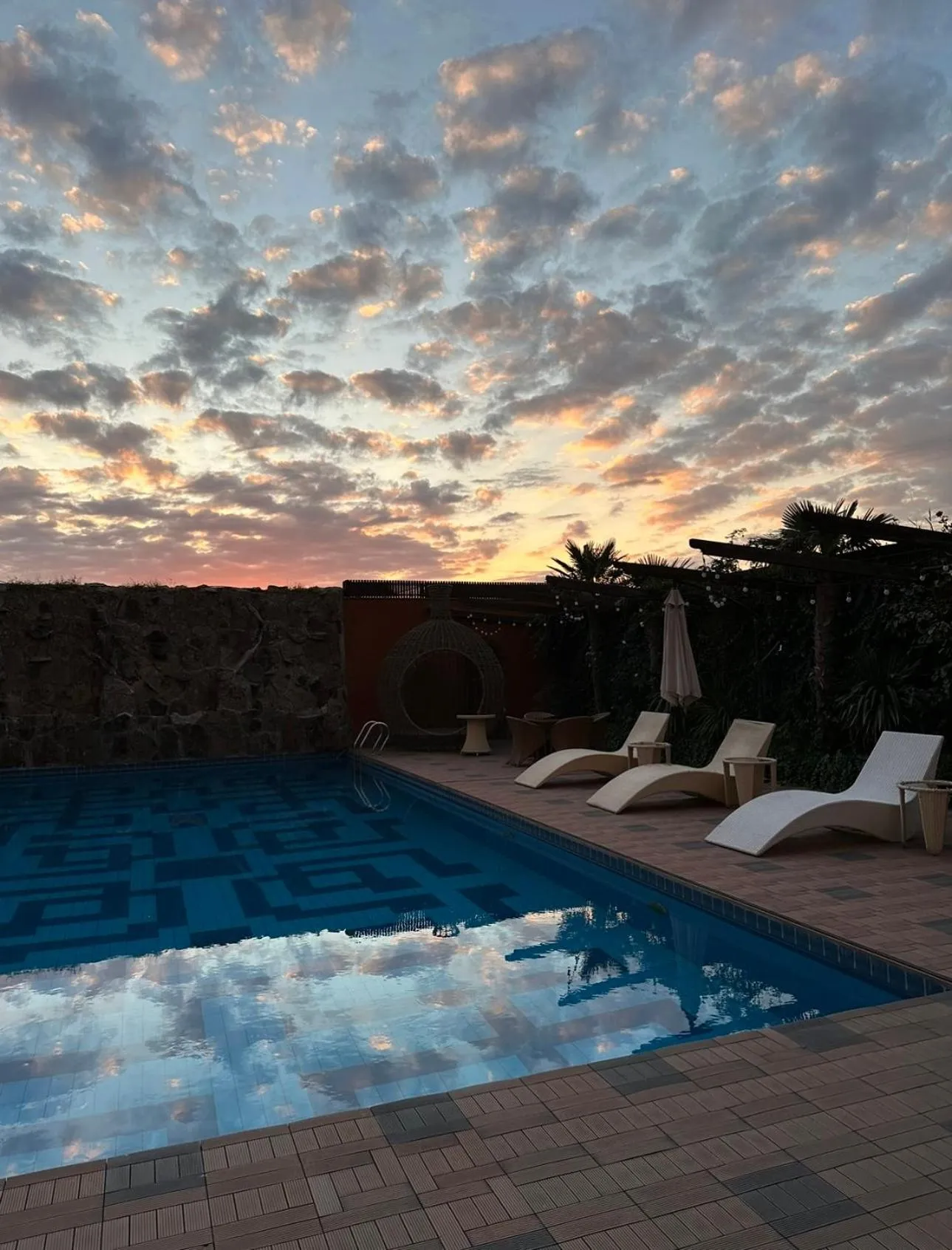 Garden in Konyak Hotel