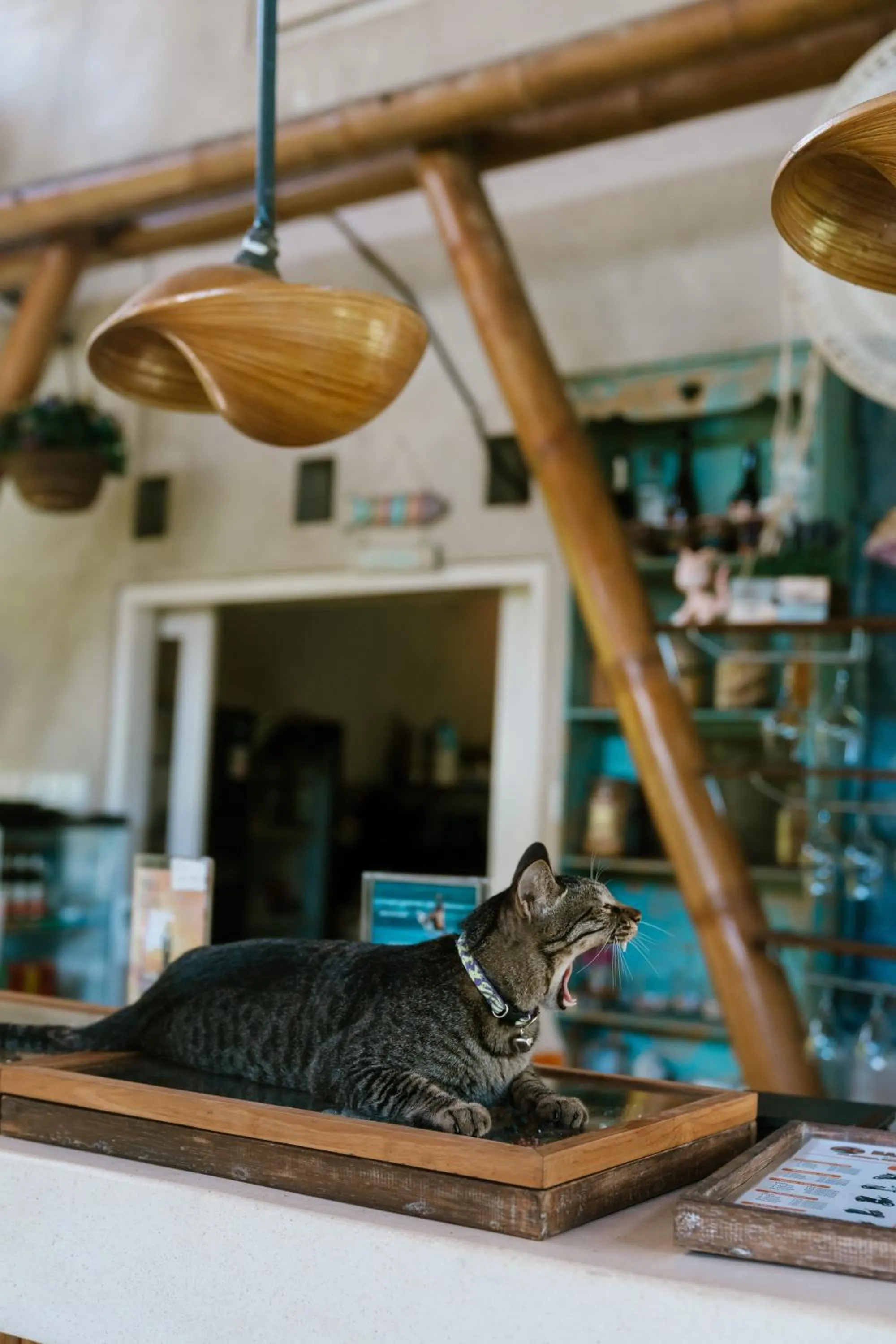 Coco Verde Bali Resort