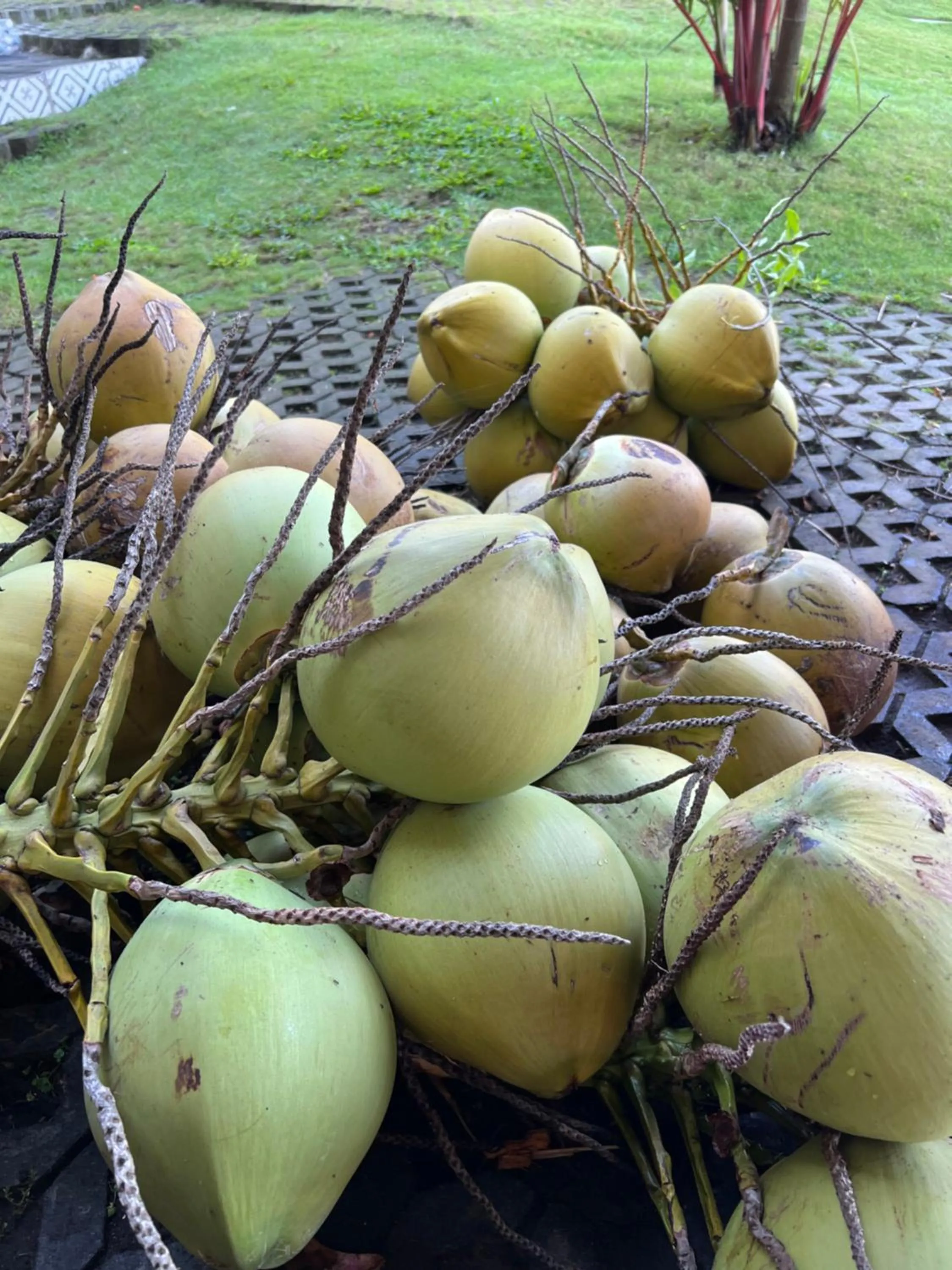 Coco Verde Bali Resort