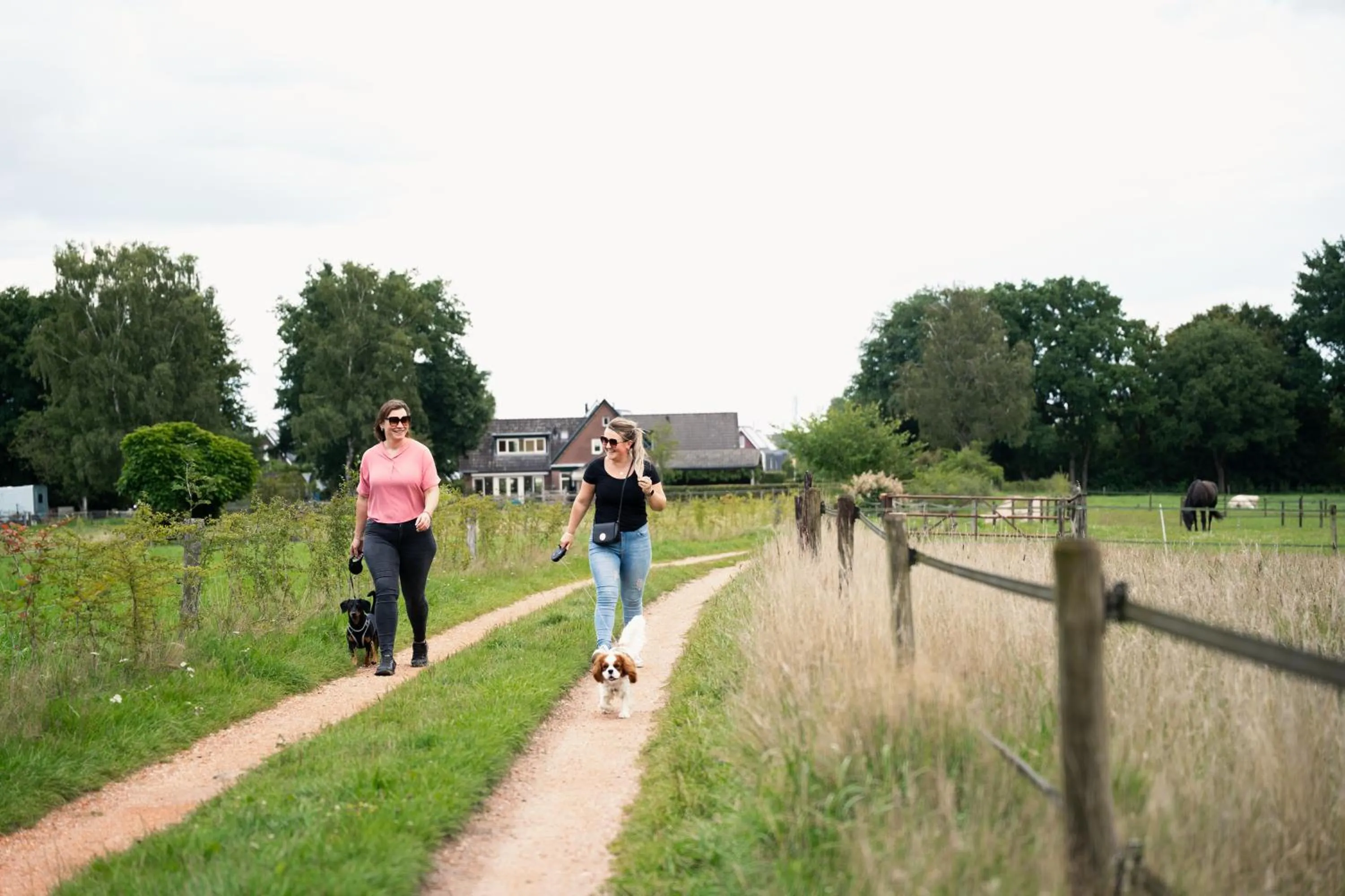 Day in Hotel Restaurant de Loenermark