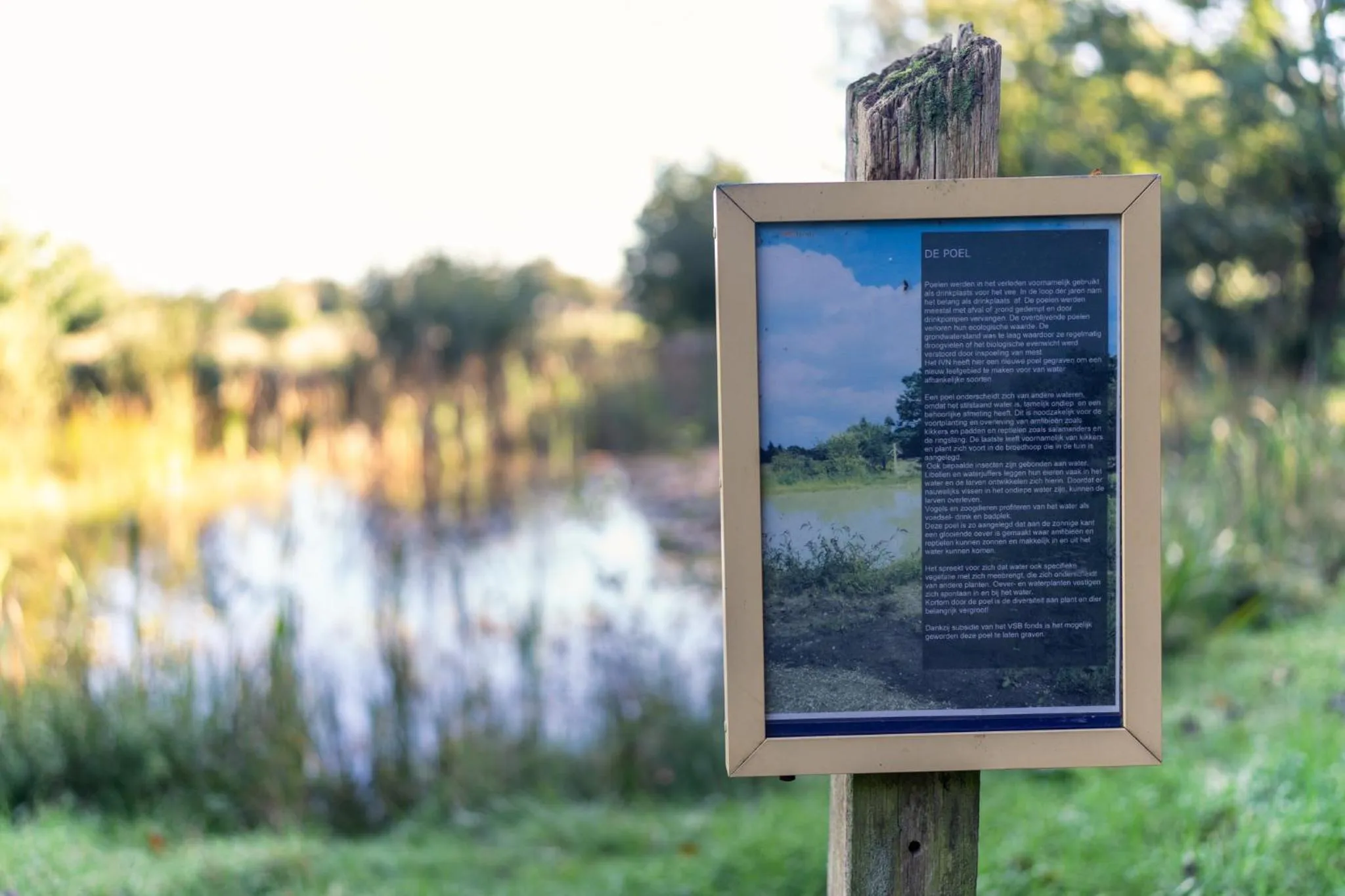 Activities in Hotel Restaurant de Loenermark