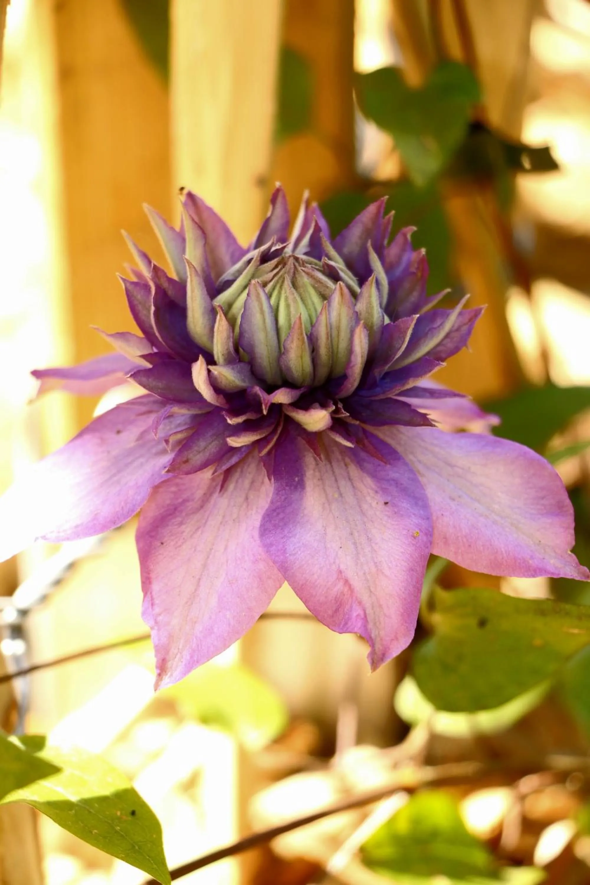 Garden in Hotel Restaurant de Loenermark