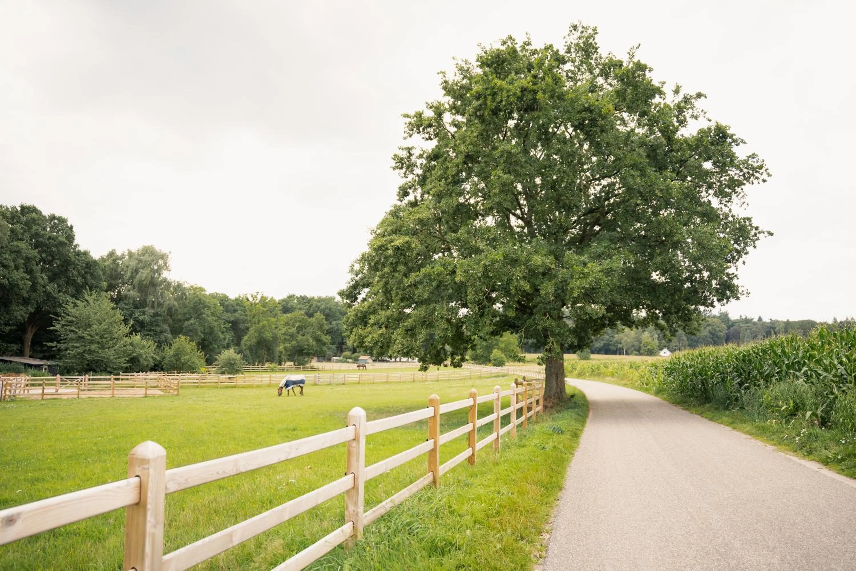 Spring in Hotel Restaurant de Loenermark
