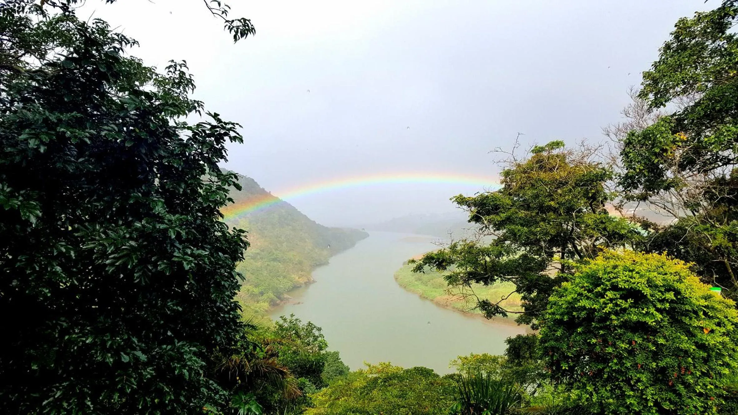 Garden in Royston Hall Historical Guesthouse