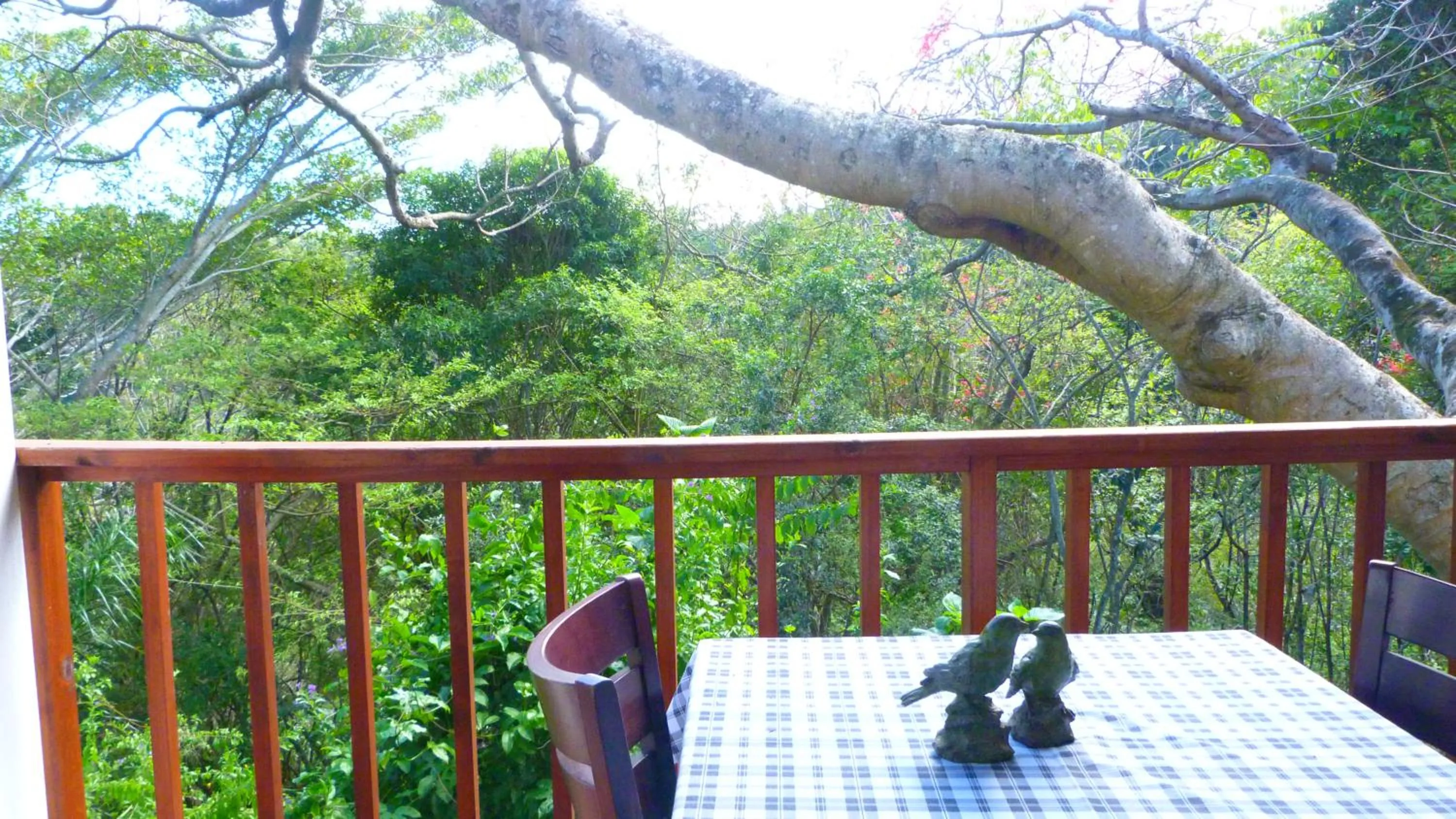 Property building in Royston Hall Historical Guesthouse