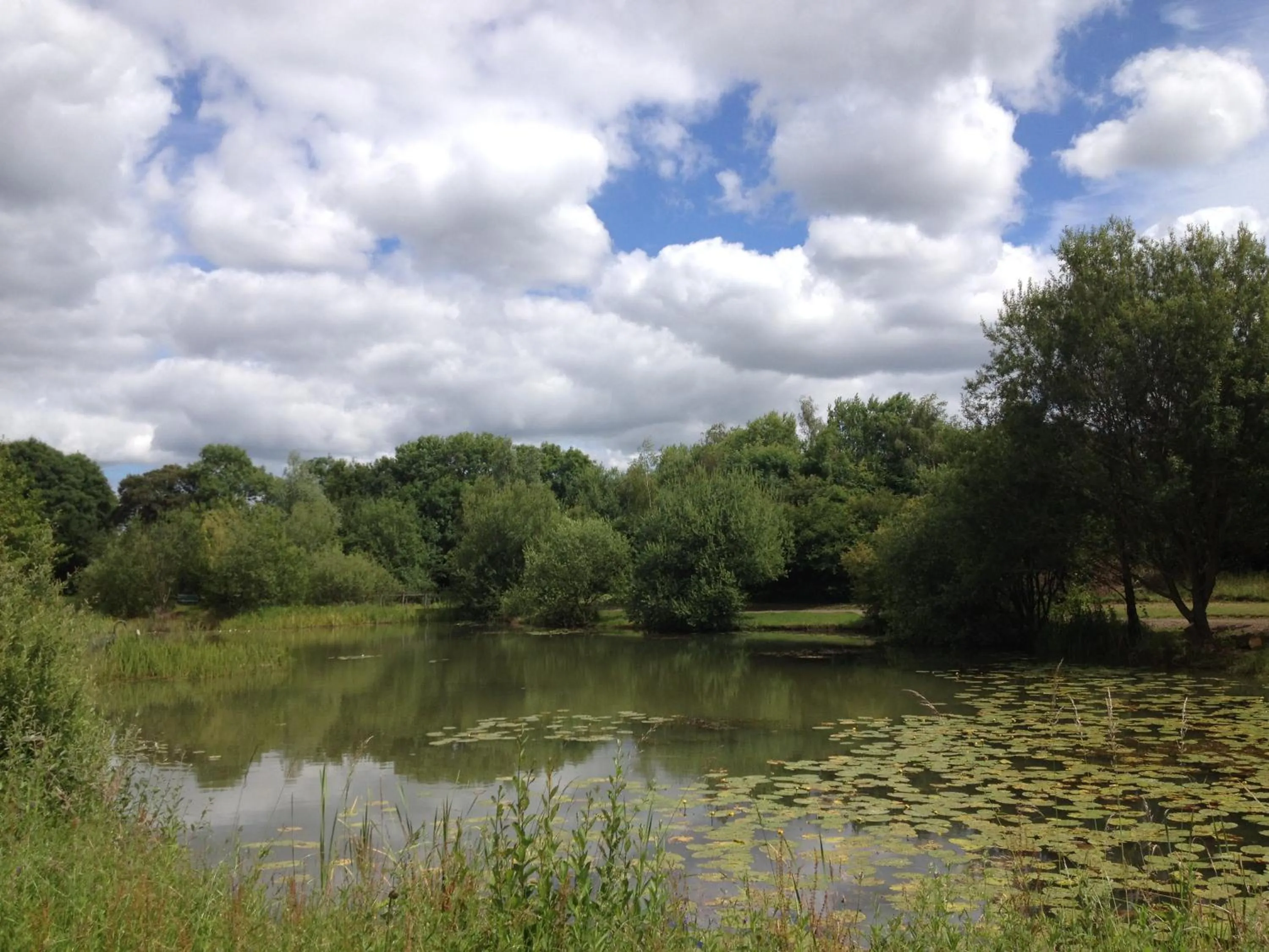 Natural landscape in Greenbanks Hotel Norfolk