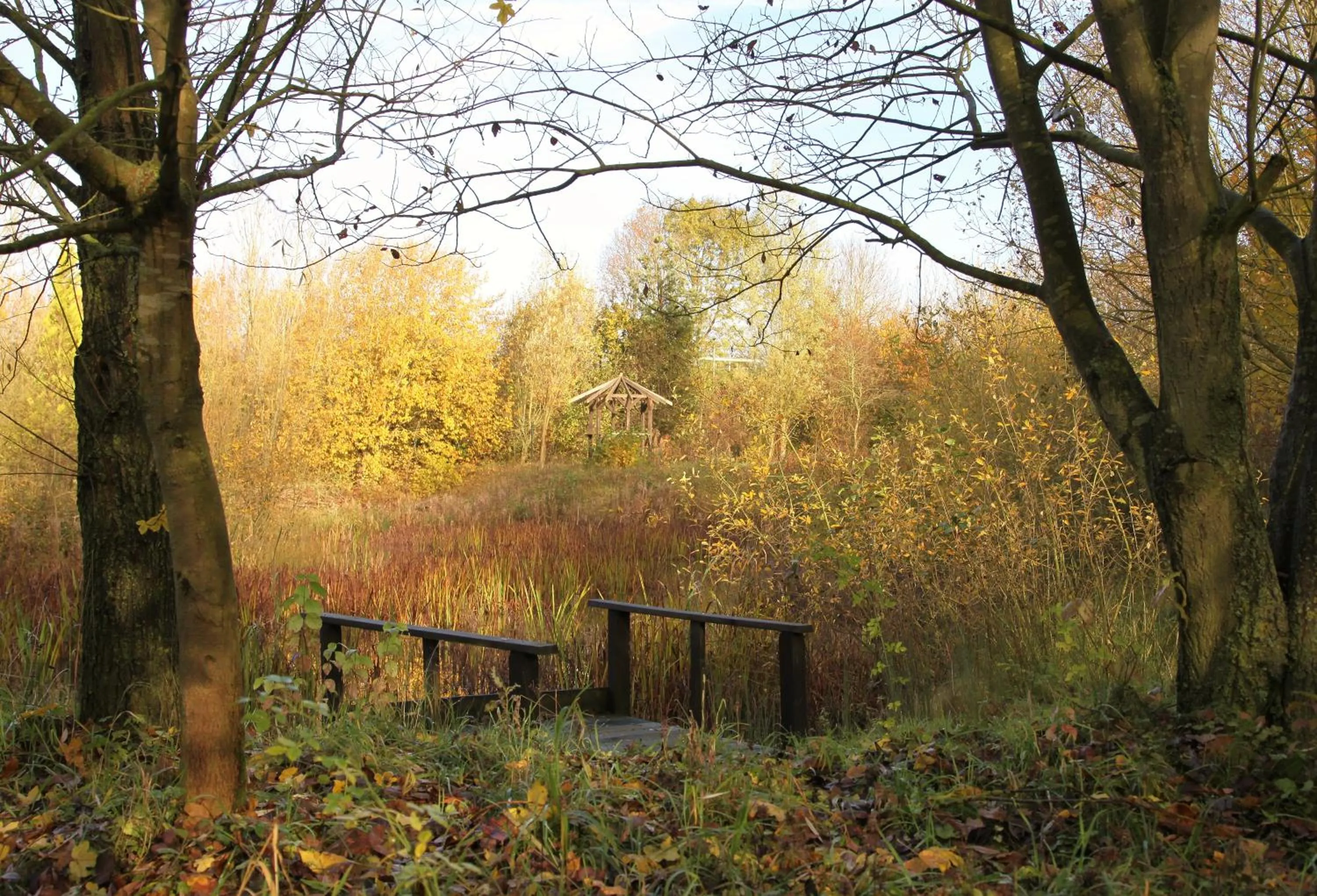 Garden in Greenbanks Hotel Norfolk