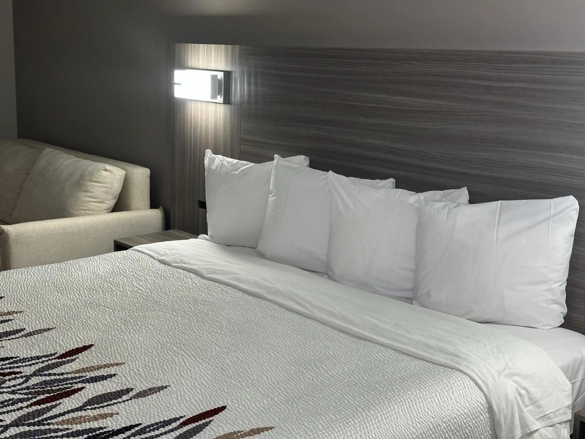 Bedroom, Bed in Red Roof Inn & Suites Middleborough