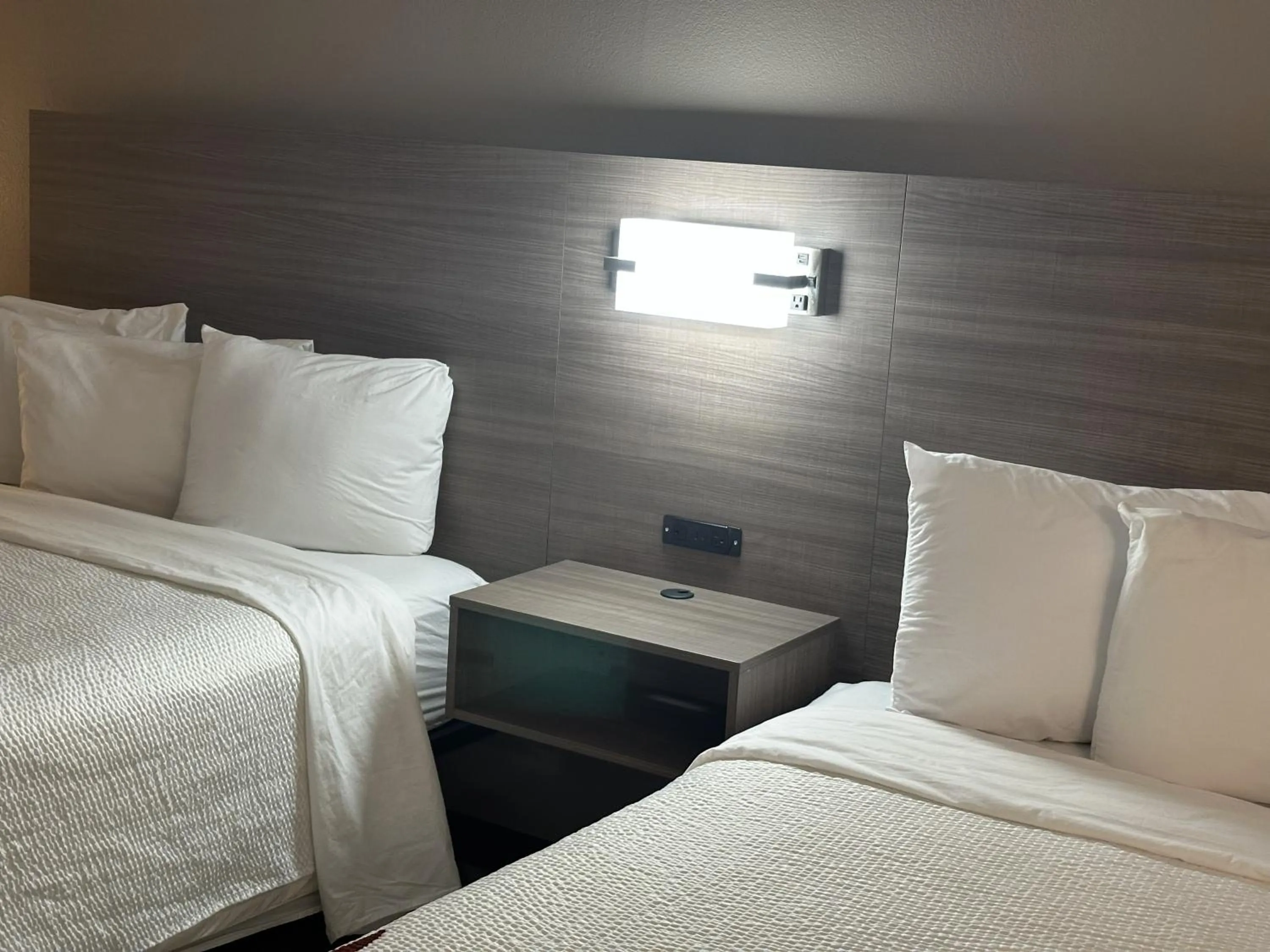 Bedroom, Bed in Red Roof Inn & Suites Middleborough