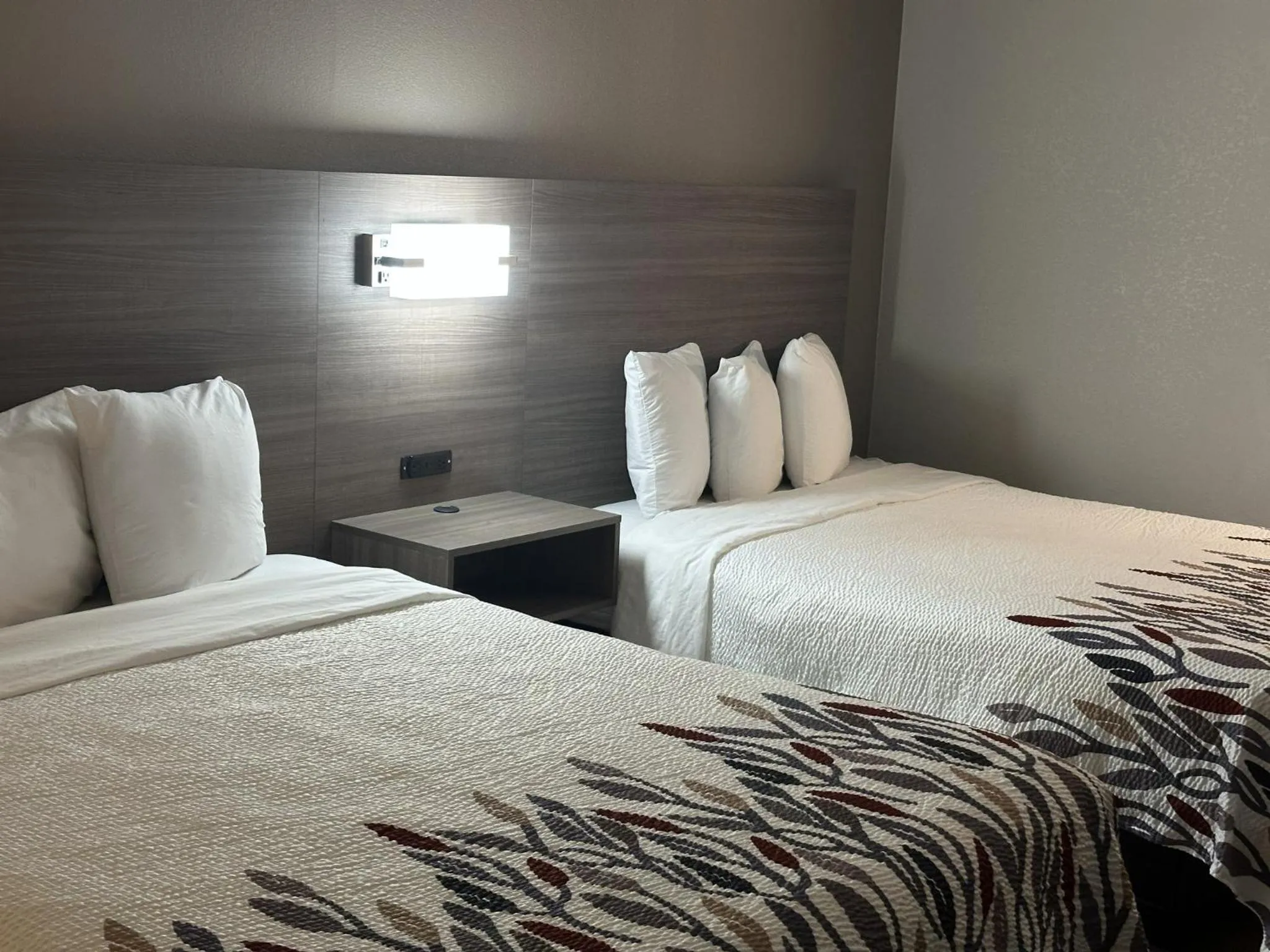 Photo of the whole room, Bed in Red Roof Inn & Suites Middleborough