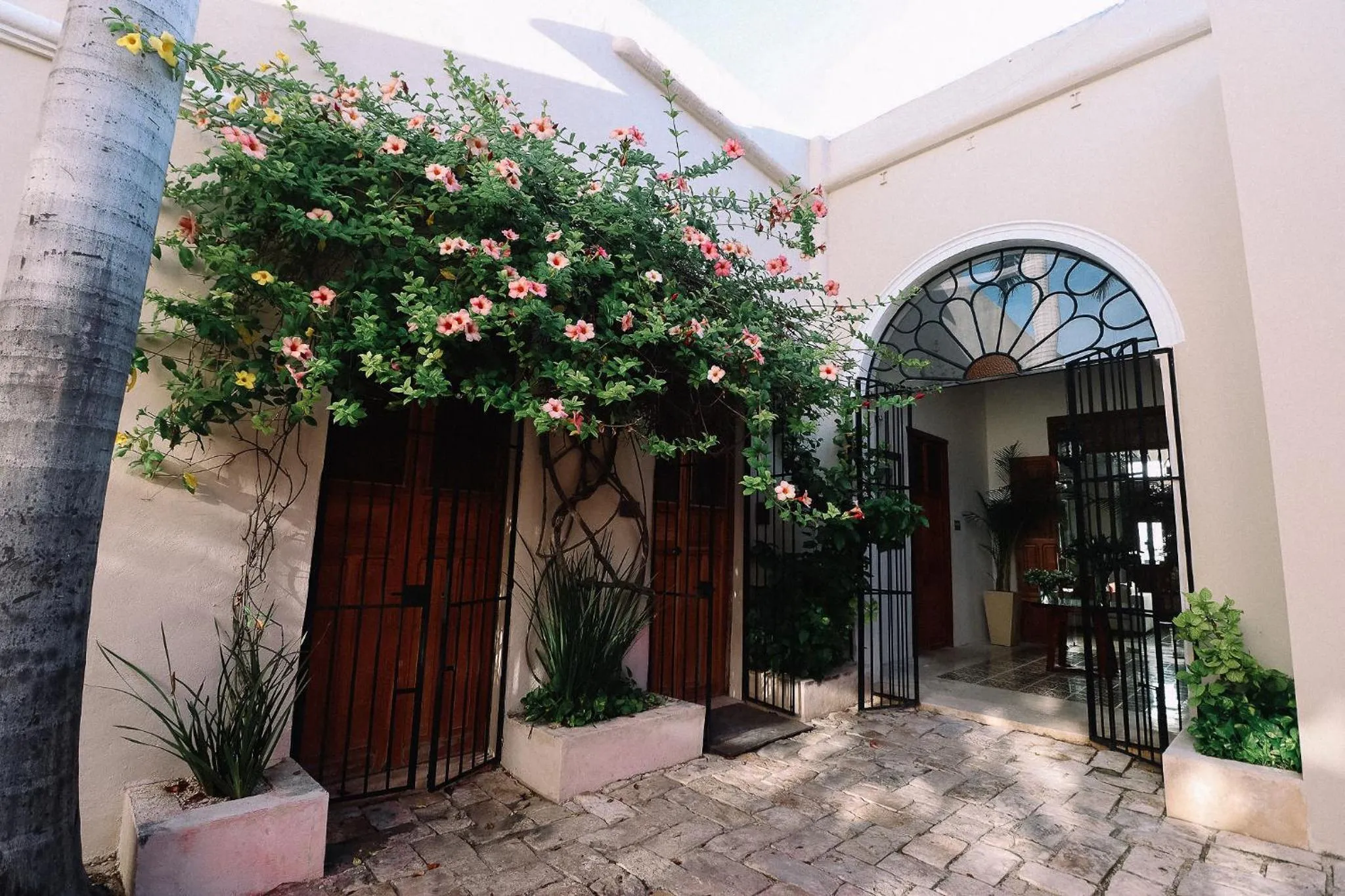 Facade/entrance in Casa de Las Palomas Boutique Hotel by Paloma's Hotels - Adults Only
