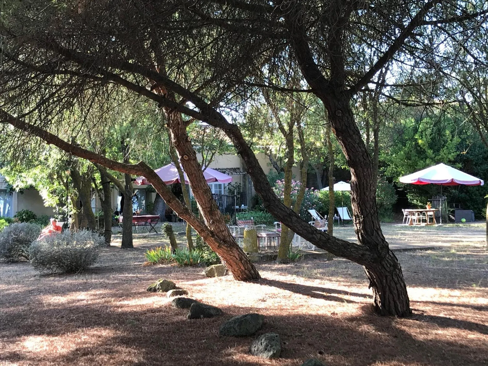 Day in Au bord de Thau