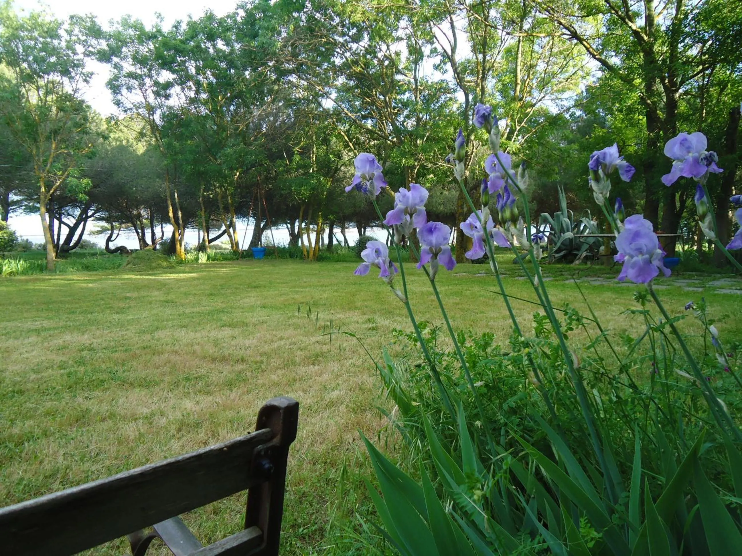 Spring in Au bord de Thau